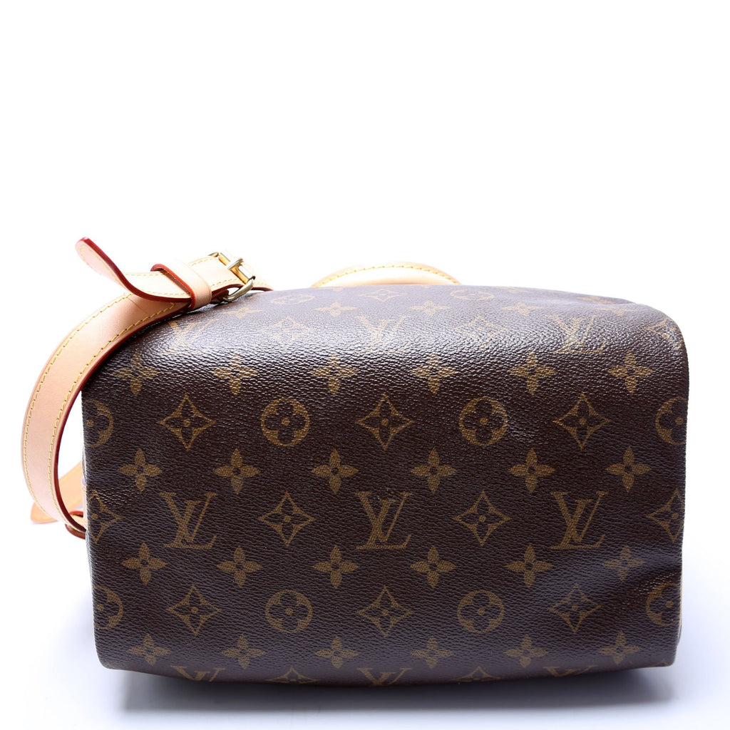 Speedy 25 Bandouliere Monogram