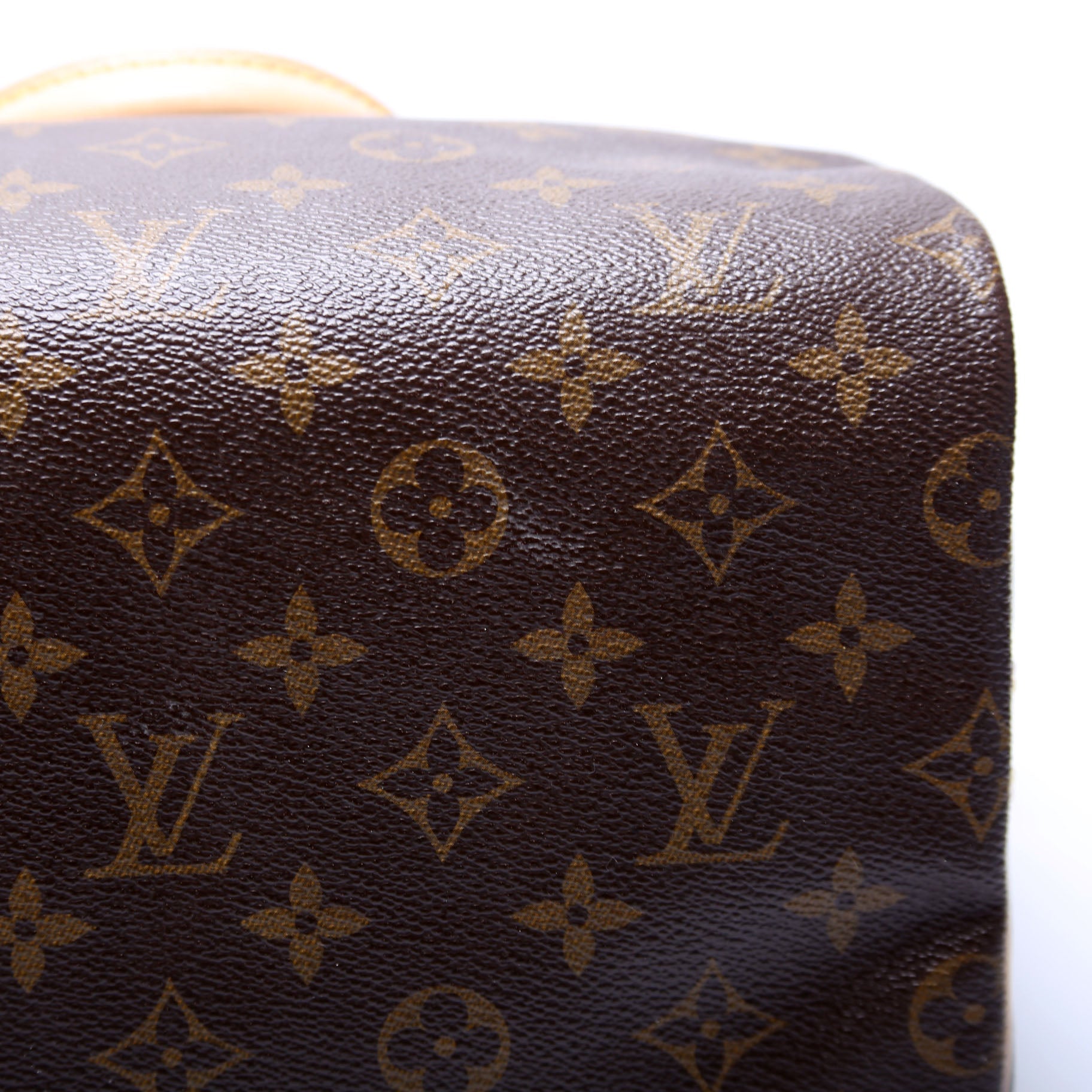 Speedy 25 Bandouliere Monogram