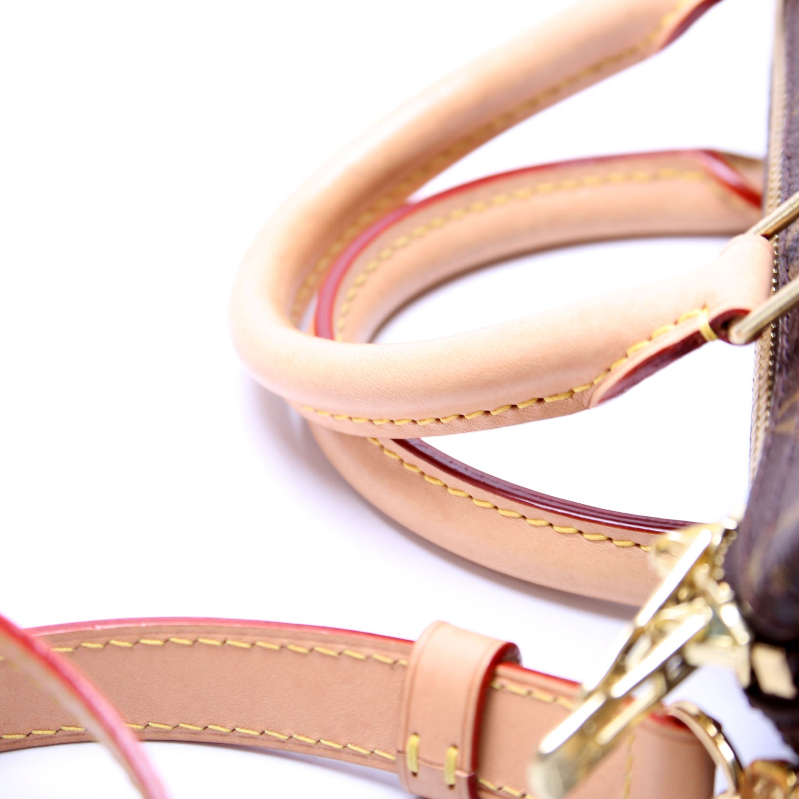 Speedy 25 Bandouliere Monogram