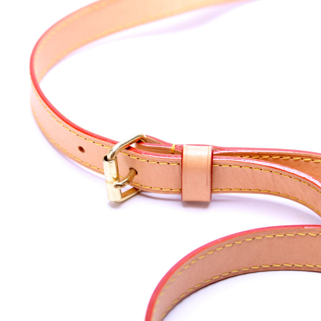 Speedy 25 Bandouliere Monogram