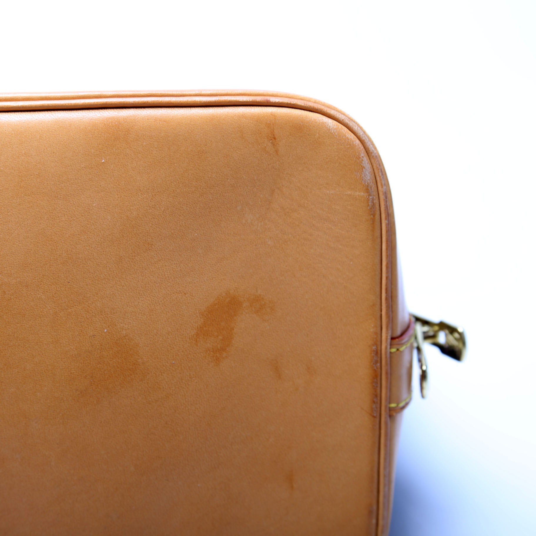 Alma PM Monogram Older