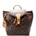 Montsouris PM NM Monogram Brown
