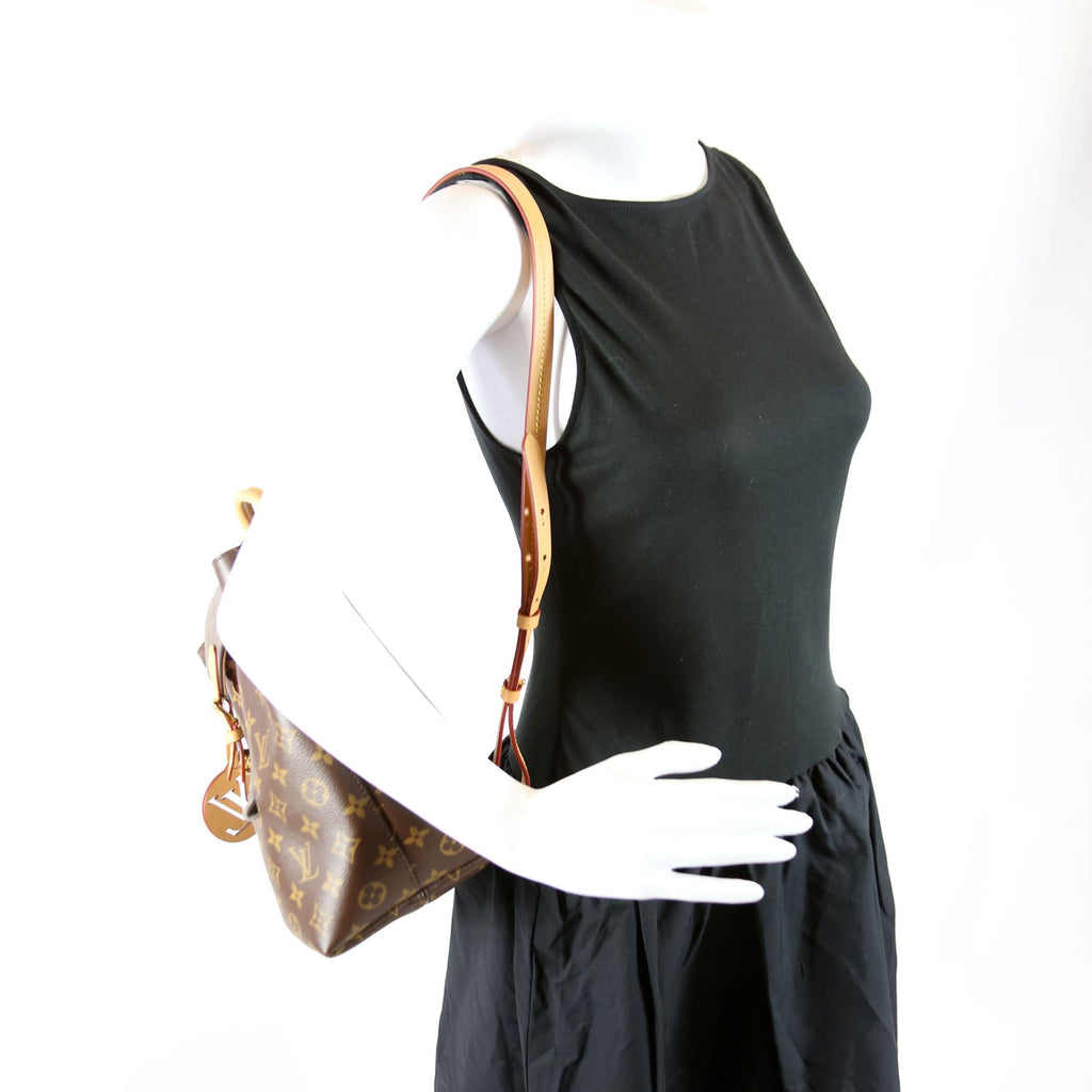 Montsouris PM NM Monogram Brown
