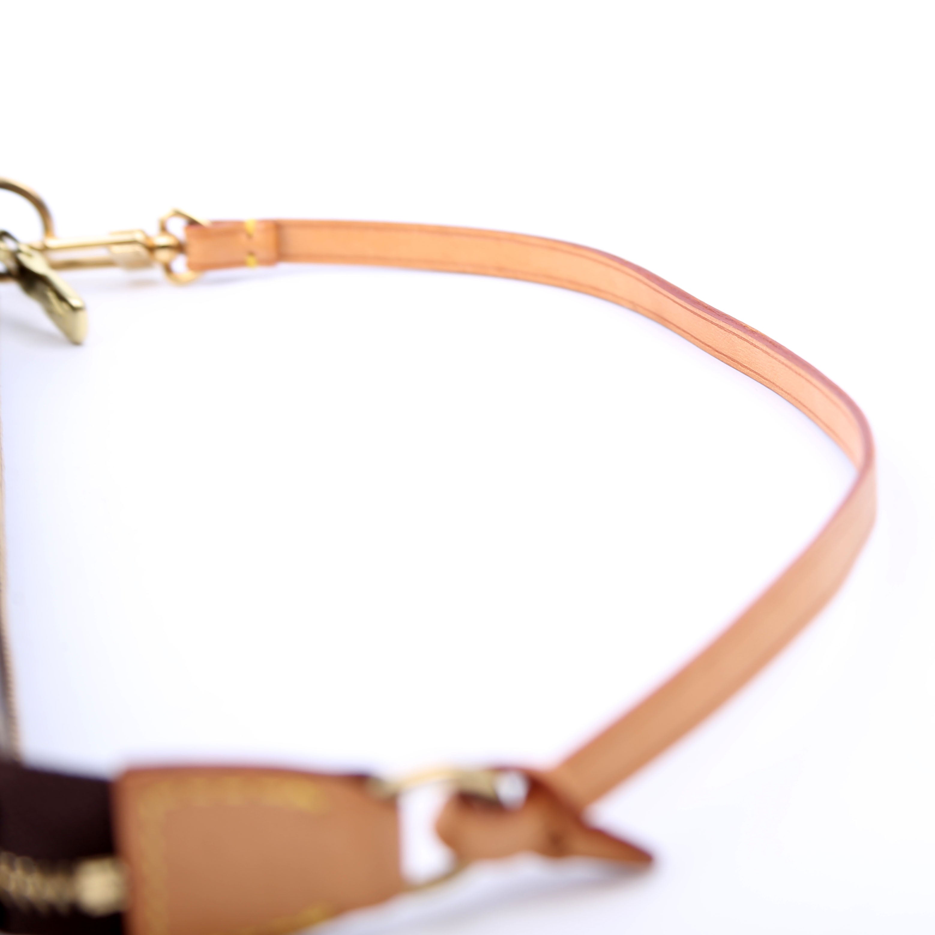 Pochette Accessories Monogram