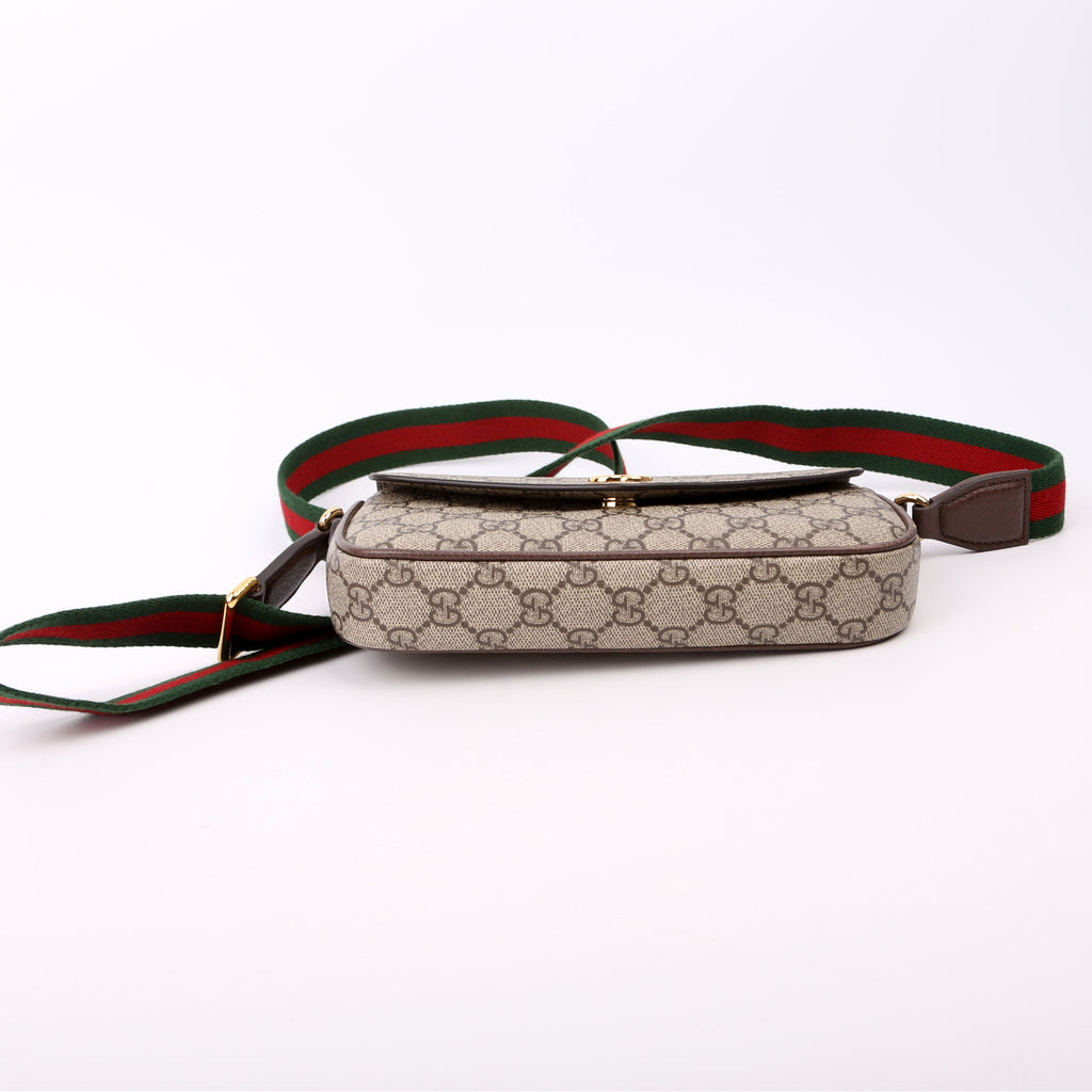 764961 GG Supreme Ophidia Mini Bag