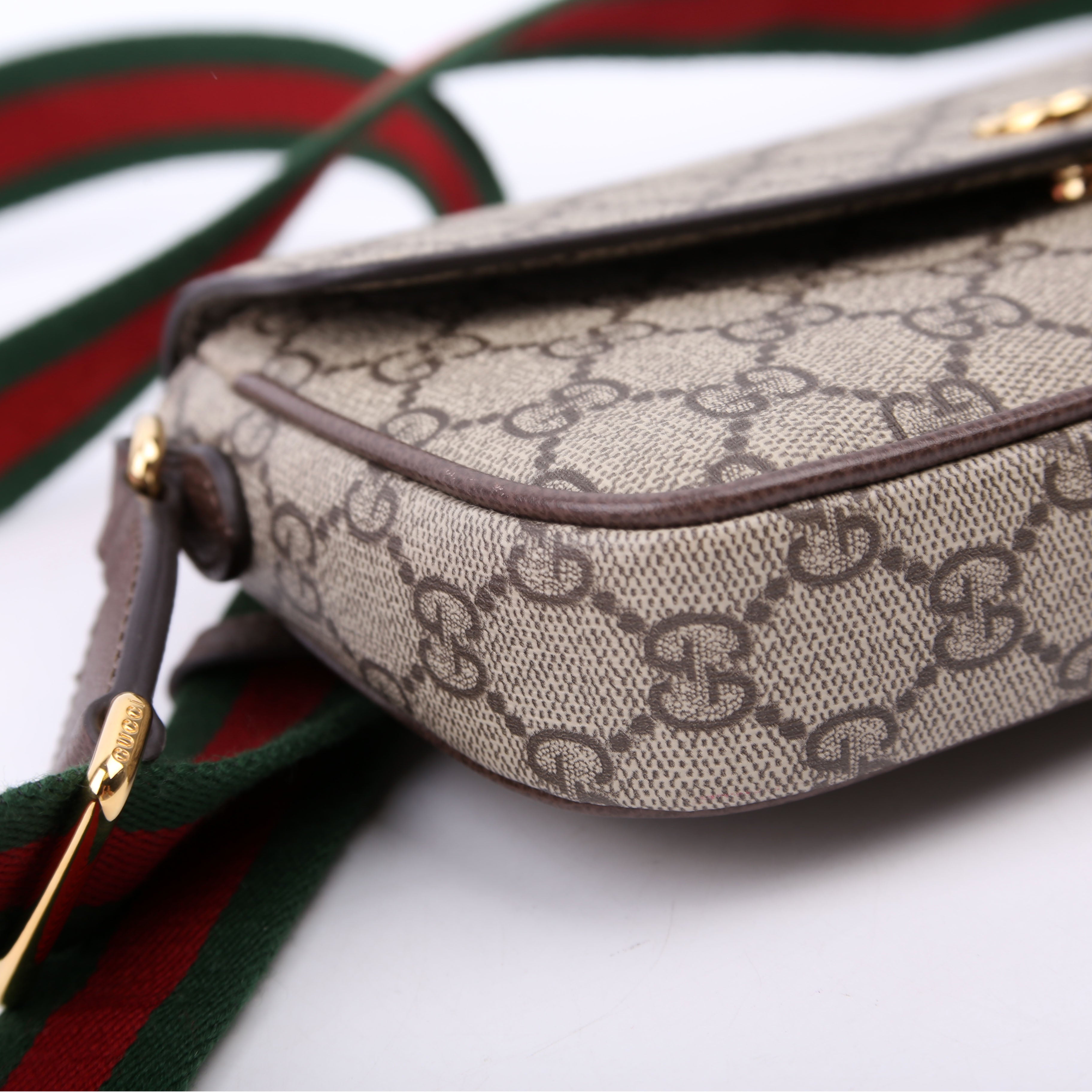 764961 GG Supreme Ophidia Mini Bag