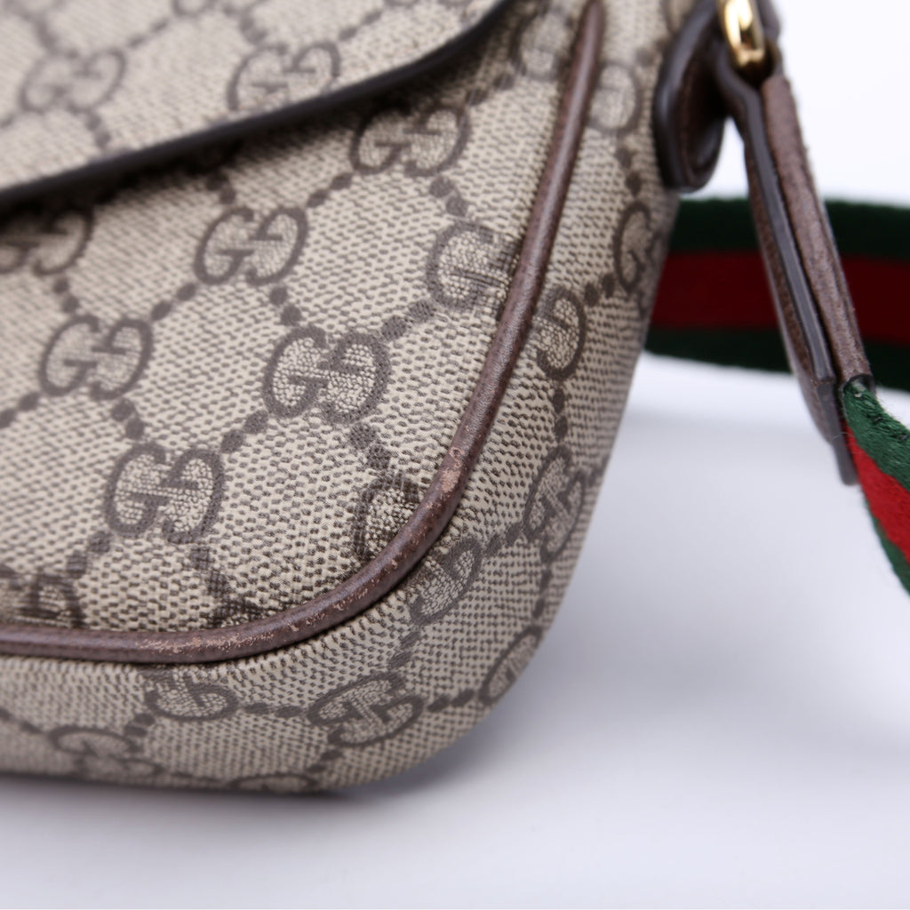 764961 GG Supreme Ophidia Mini Bag