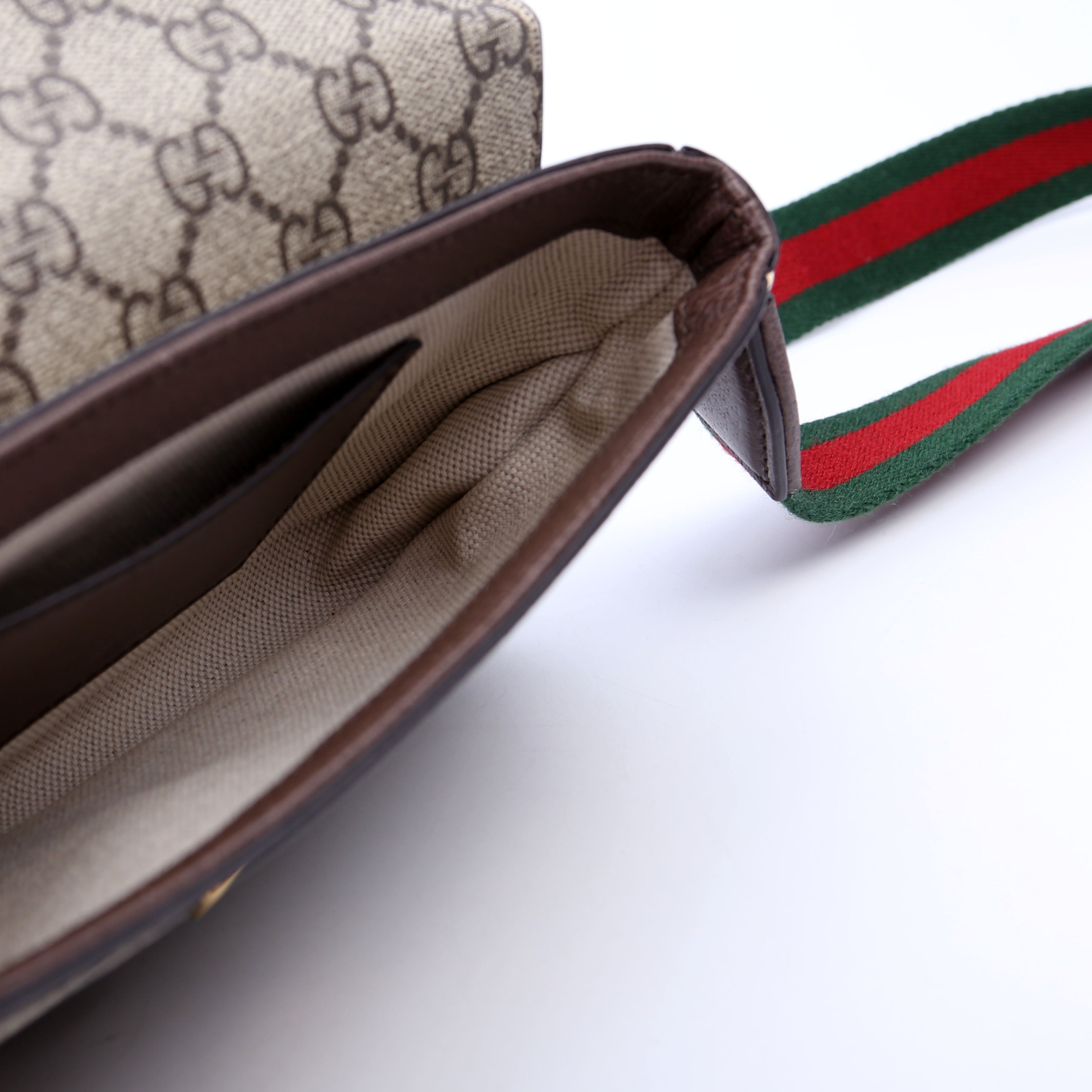 764961 GG Supreme Ophidia Mini Bag