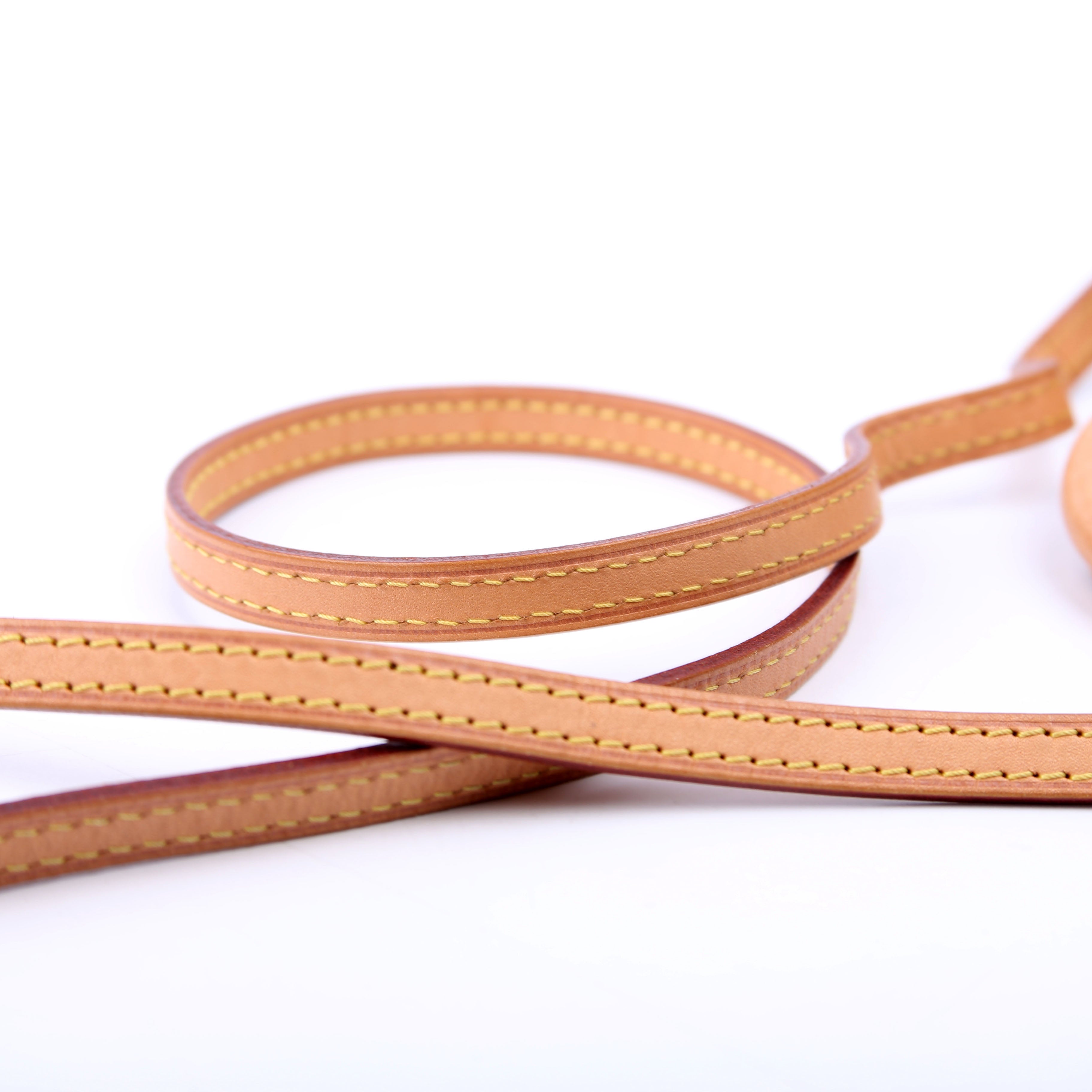 Nano Speedy Monogram