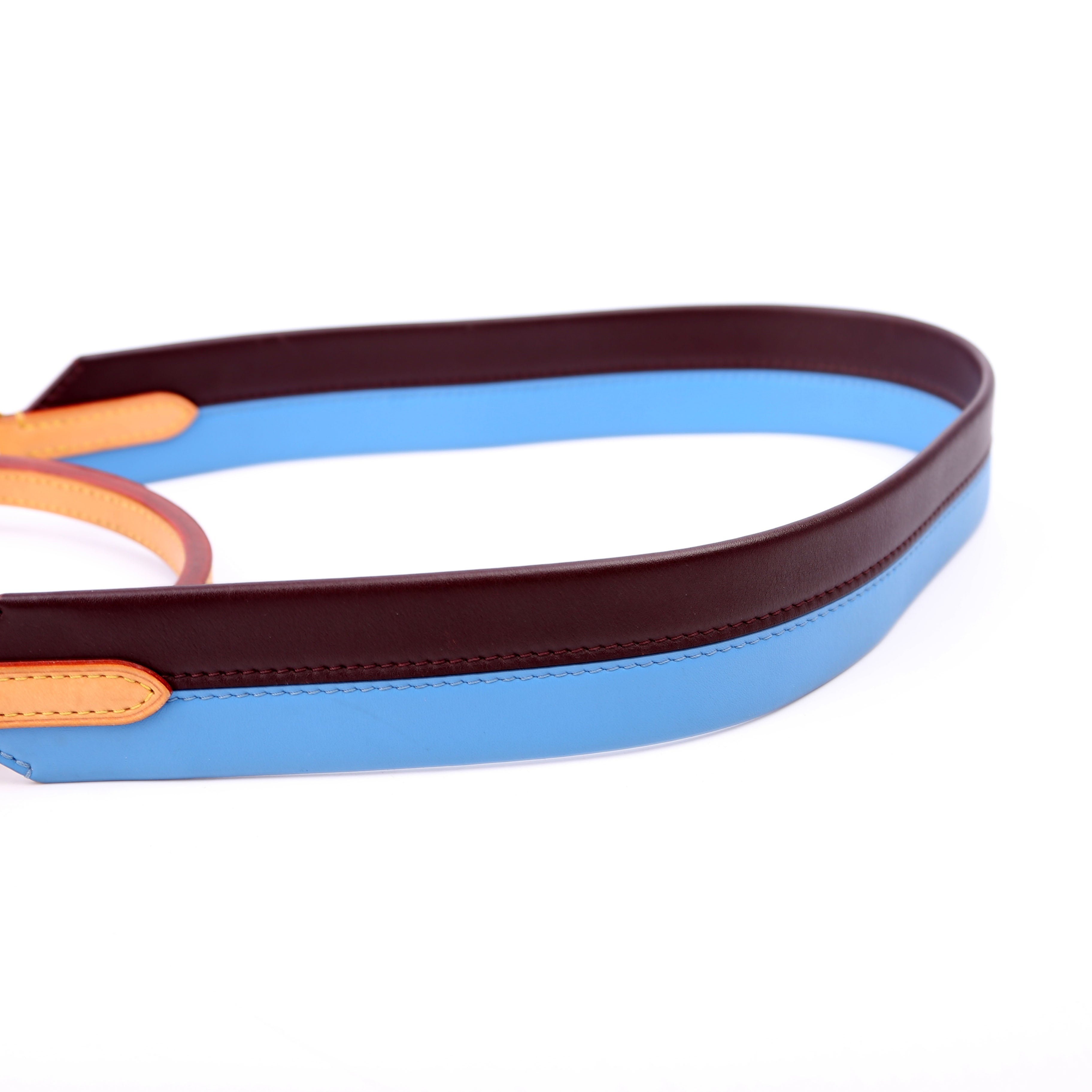 Cluny MM Monogram Blue