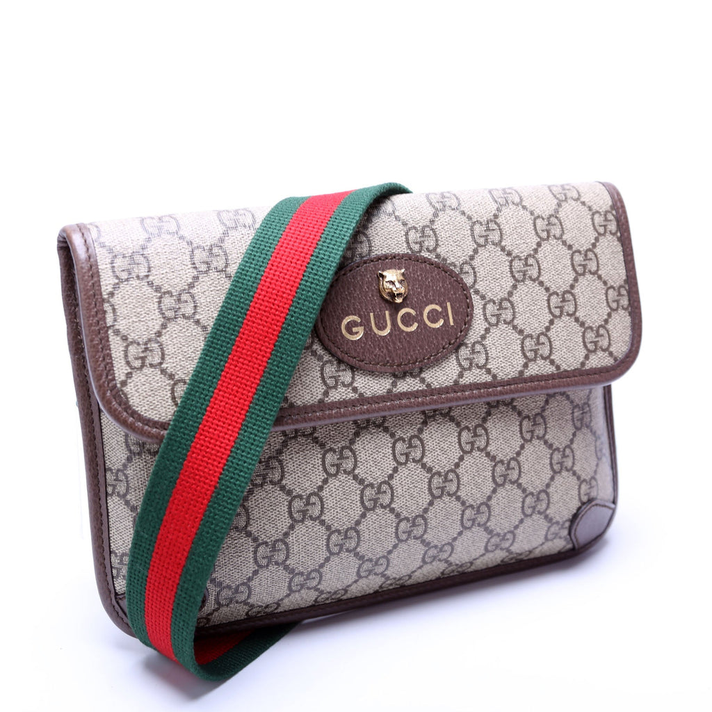 493930 GG Supreme Neo Web Belt Brown