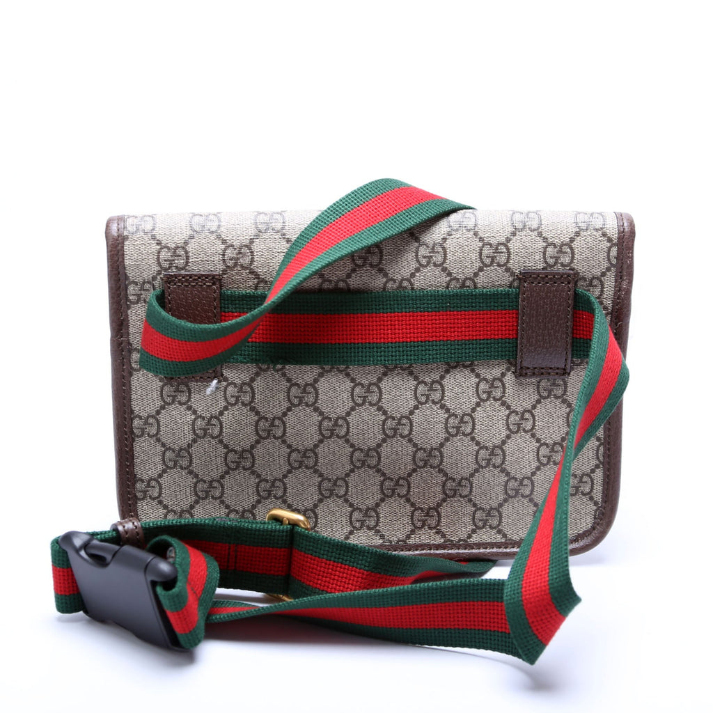 493930 GG Supreme Neo Web Belt Brown