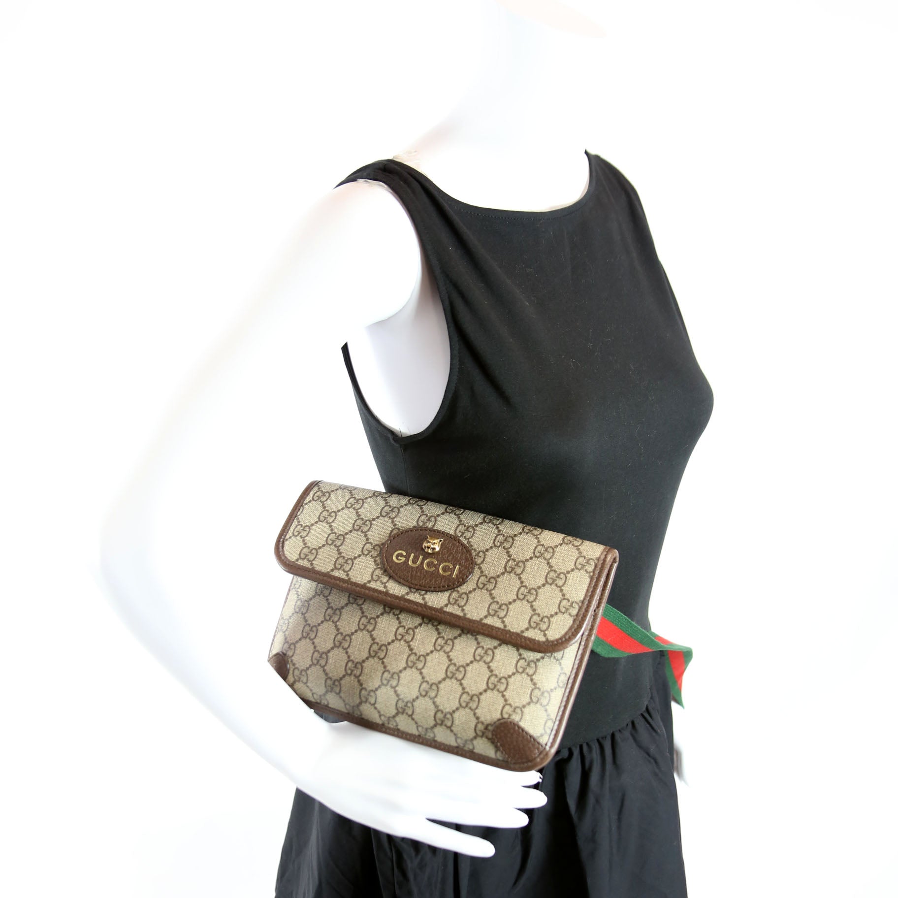 493930 GG Supreme Neo Web Belt Brown