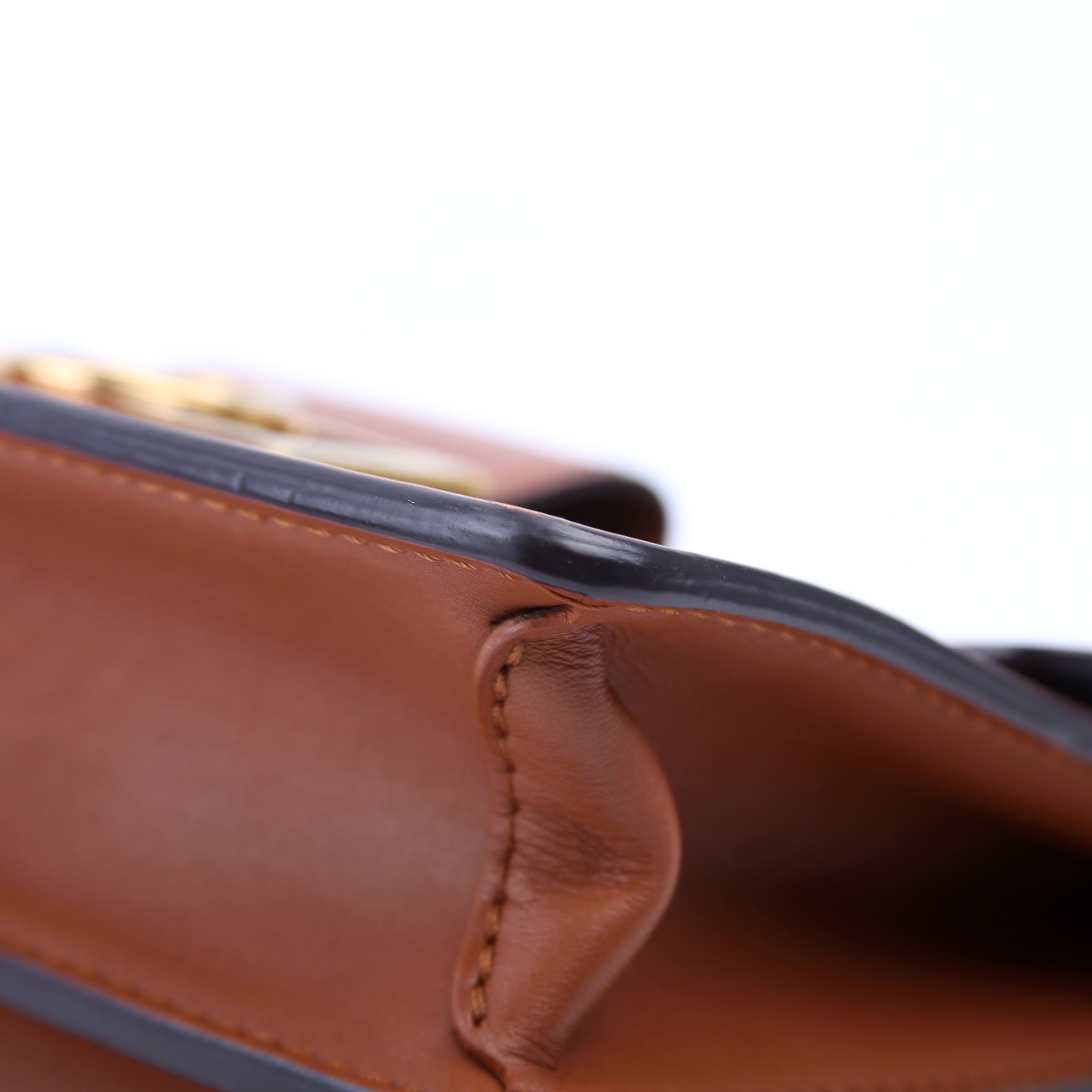 Dauphine Mini Taurillon Leather