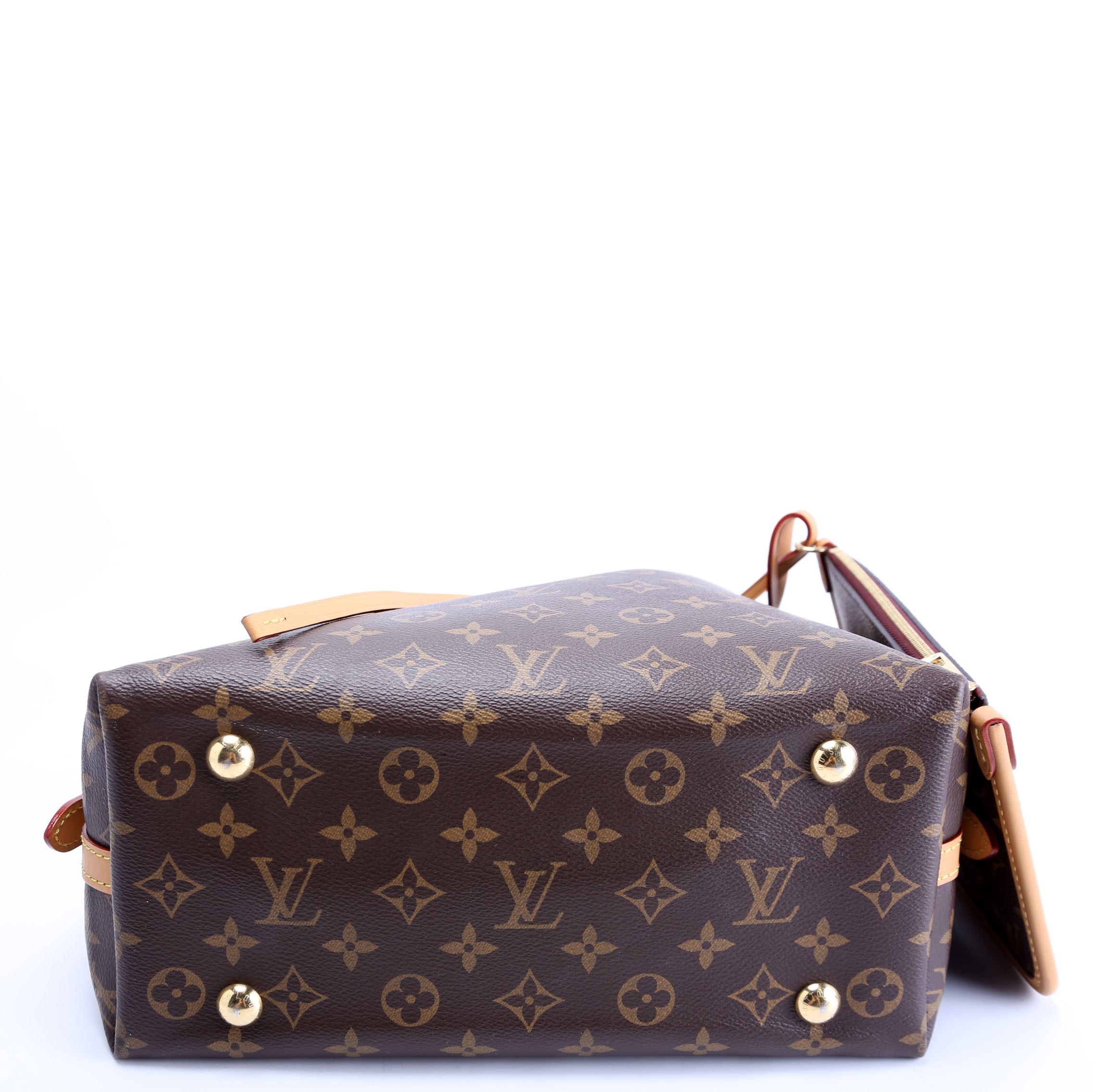 Carryall PM Monogram