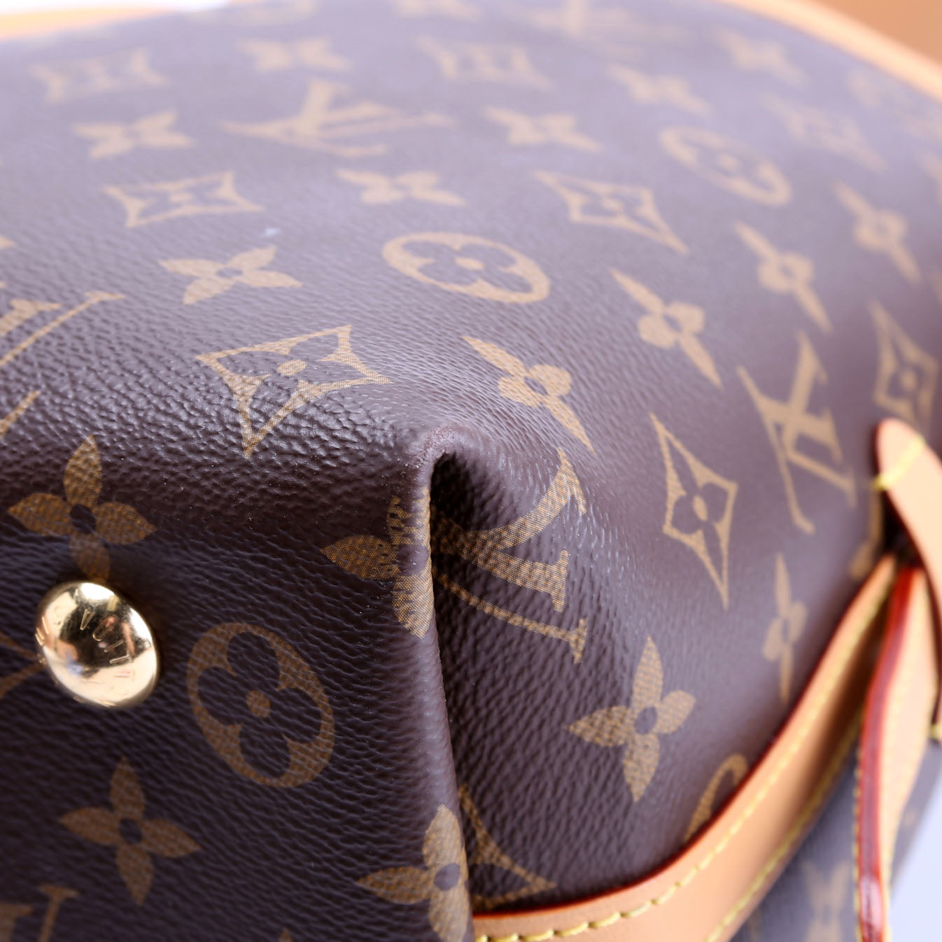Carryall PM Monogram