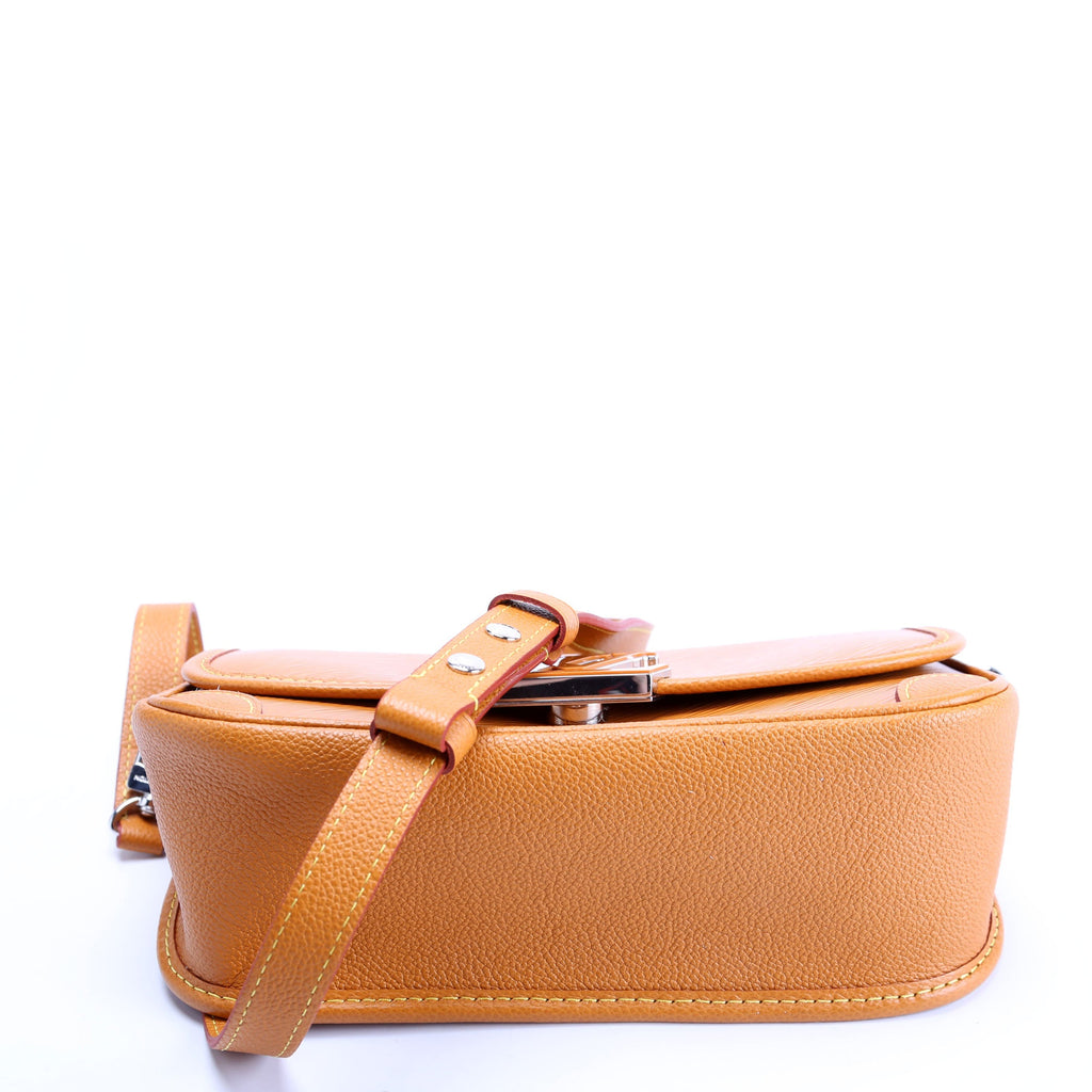 Buci Crossbody Epi Brown