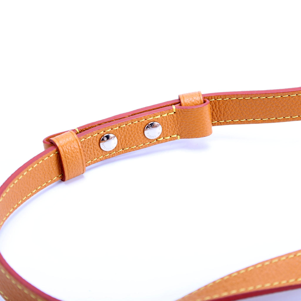 Buci Crossbody Epi Brown