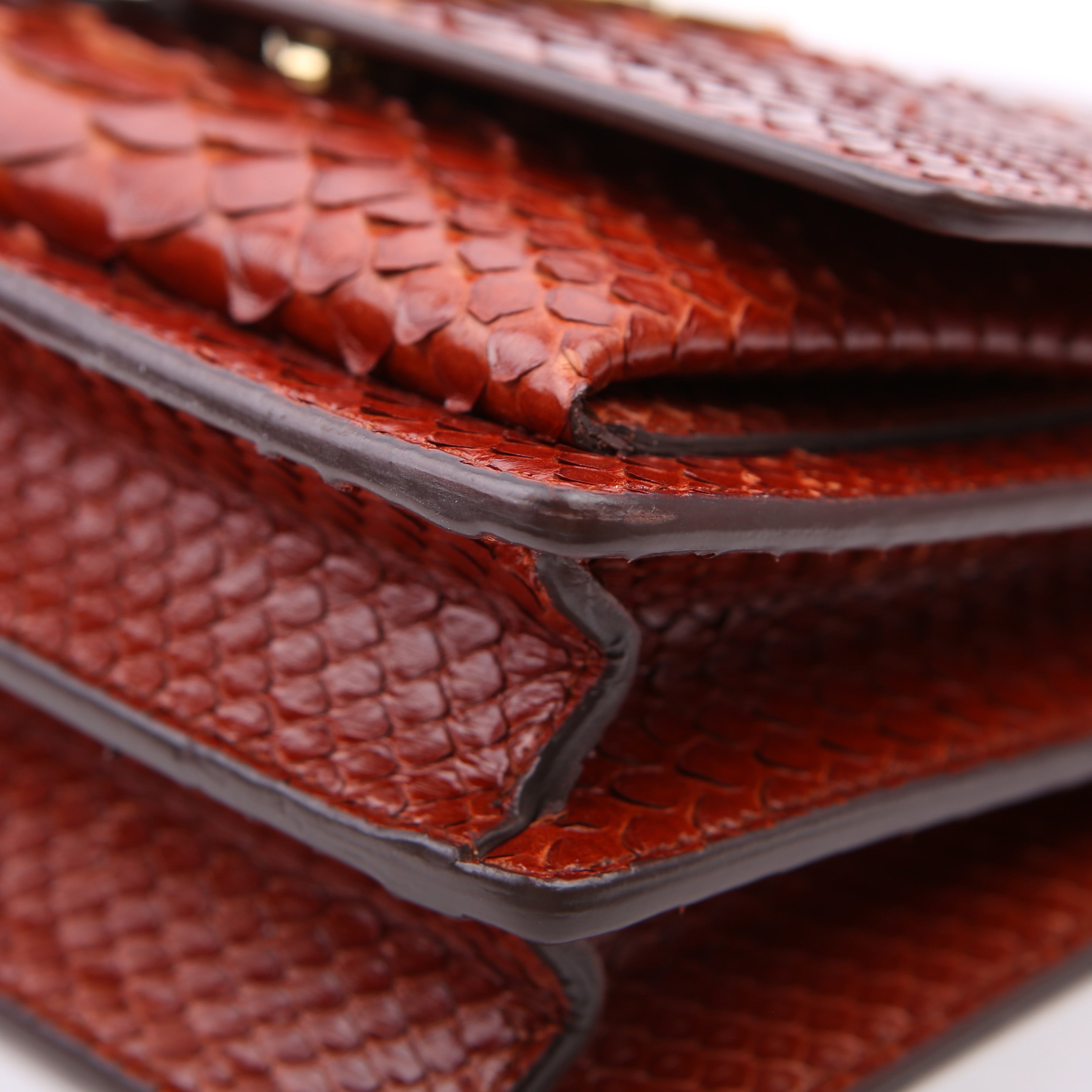 Sunset Small Python Red