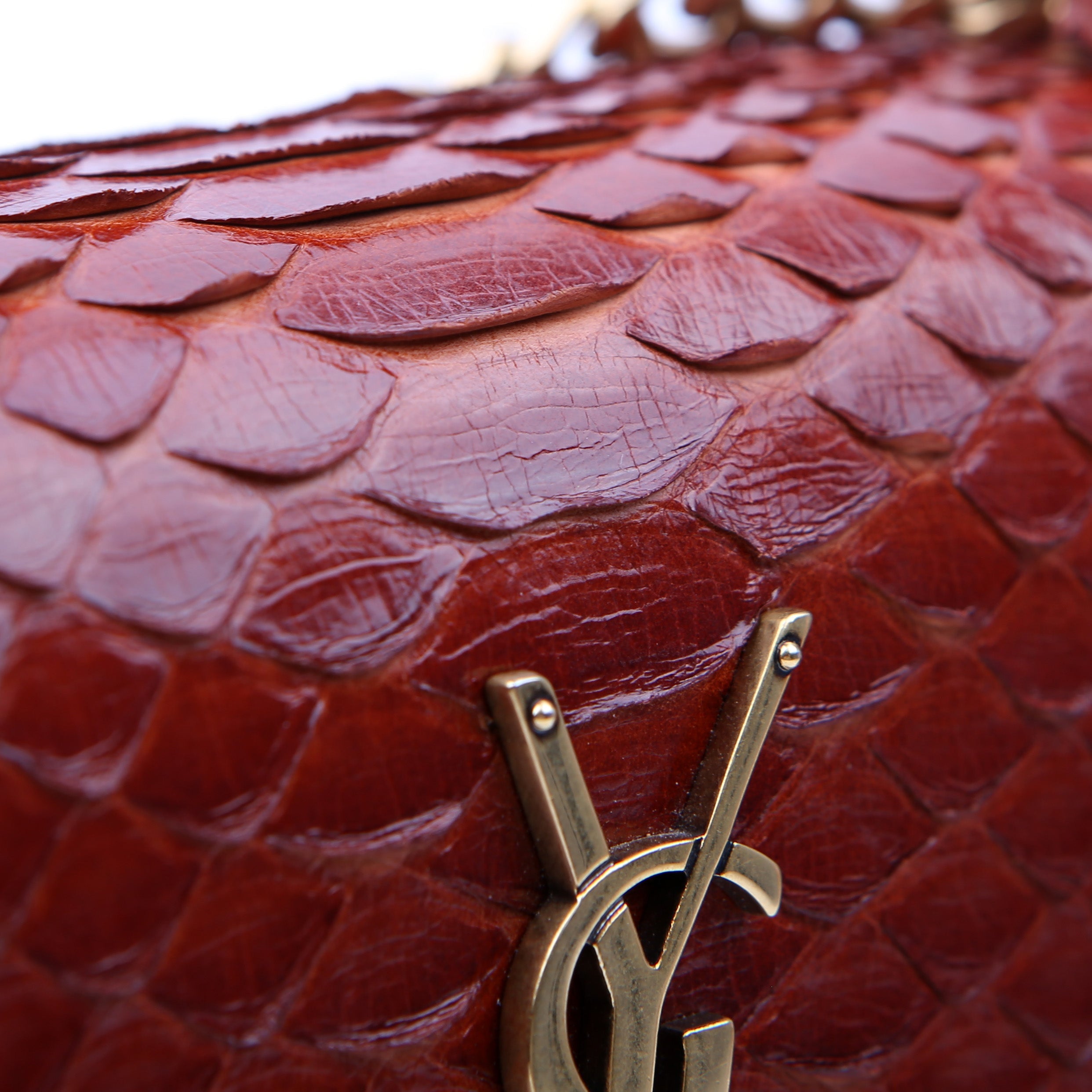 Sunset Small Python Red