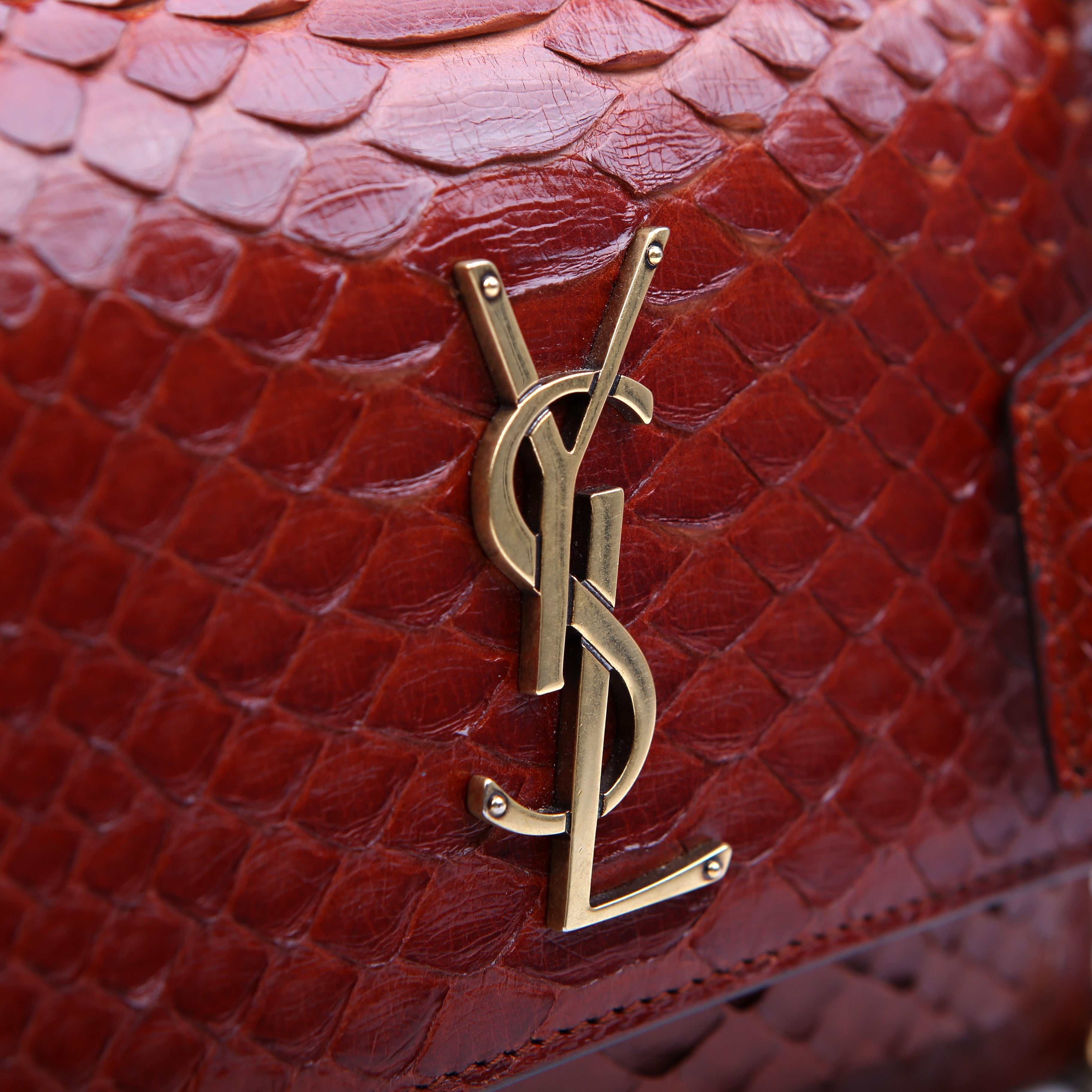 Sunset Small Python Red