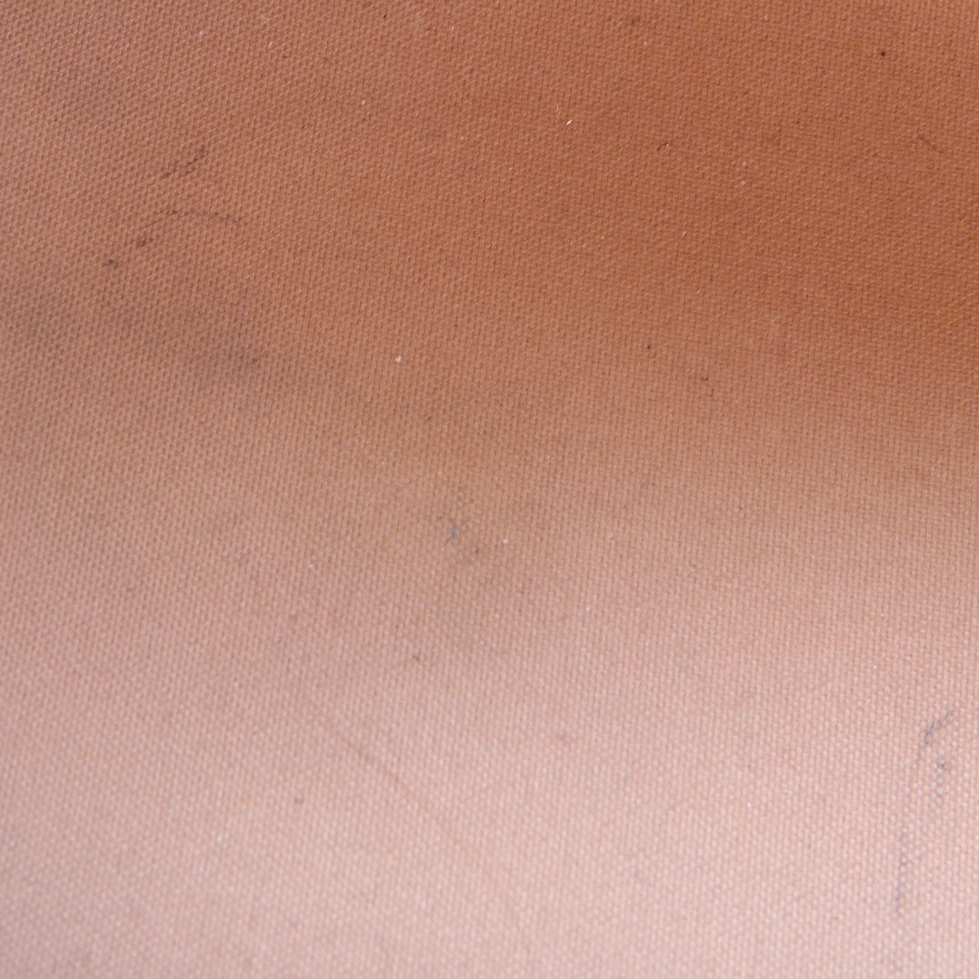 Neverfull MM Monogram