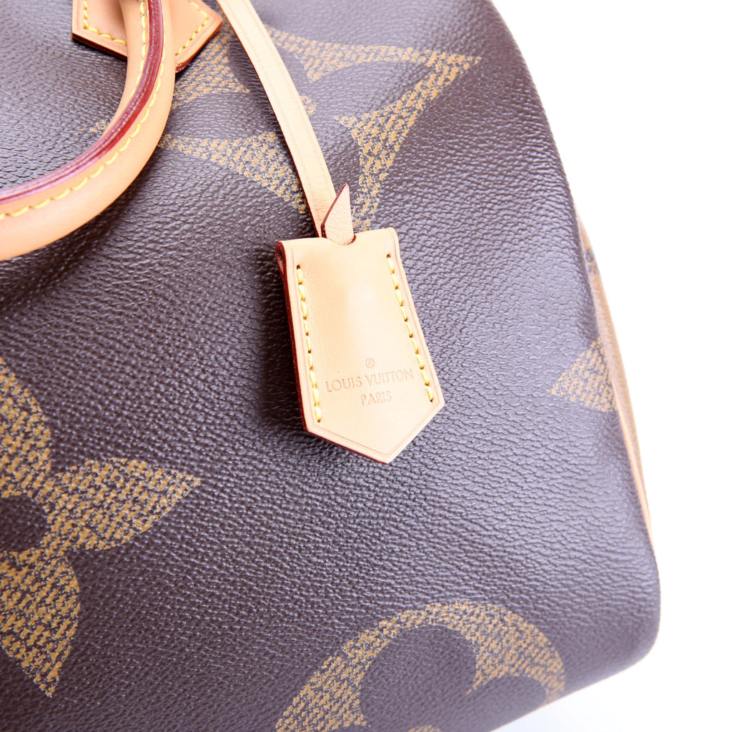 Speedy 30 Bandouliere Reversed Monogram