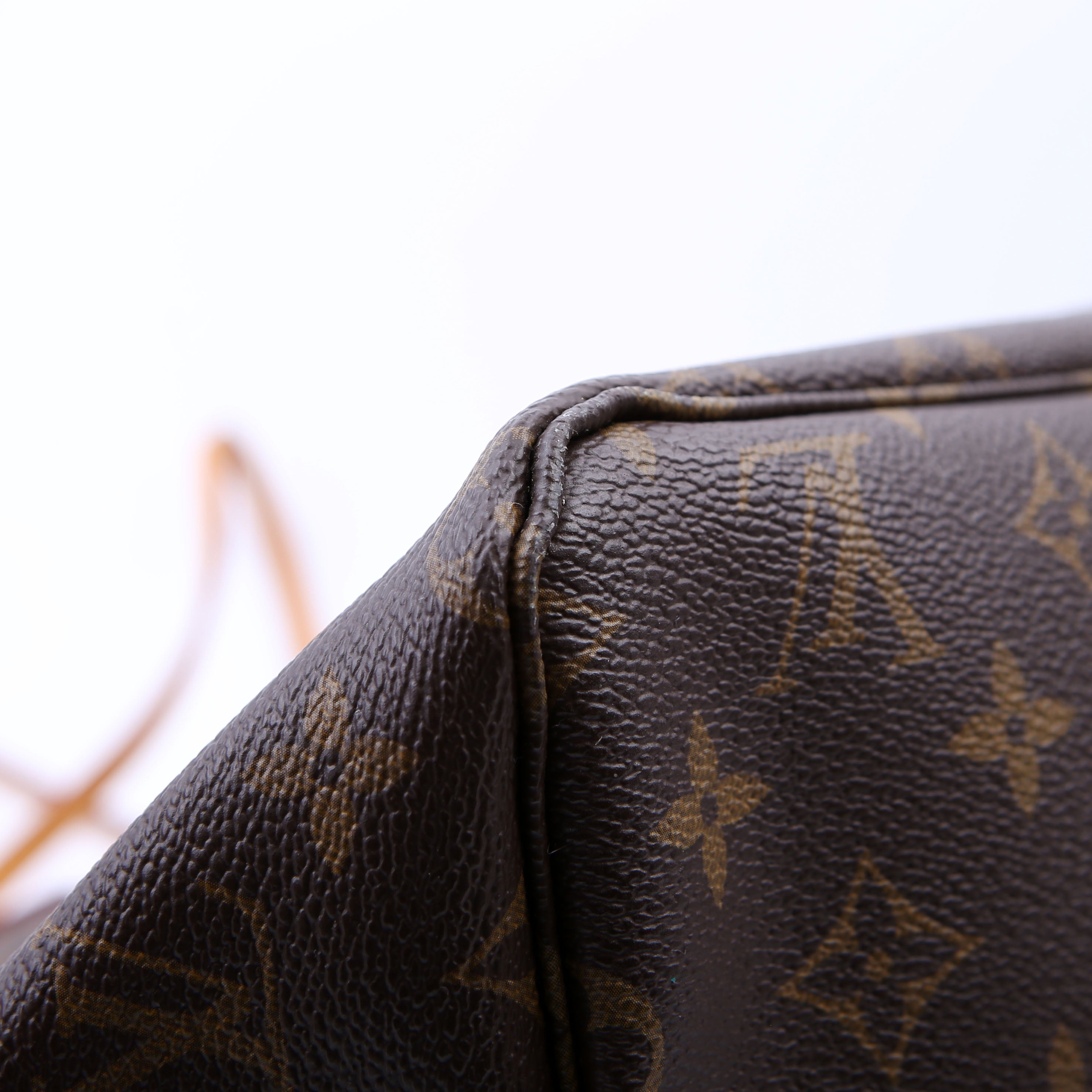 Neverfull GM Monogram