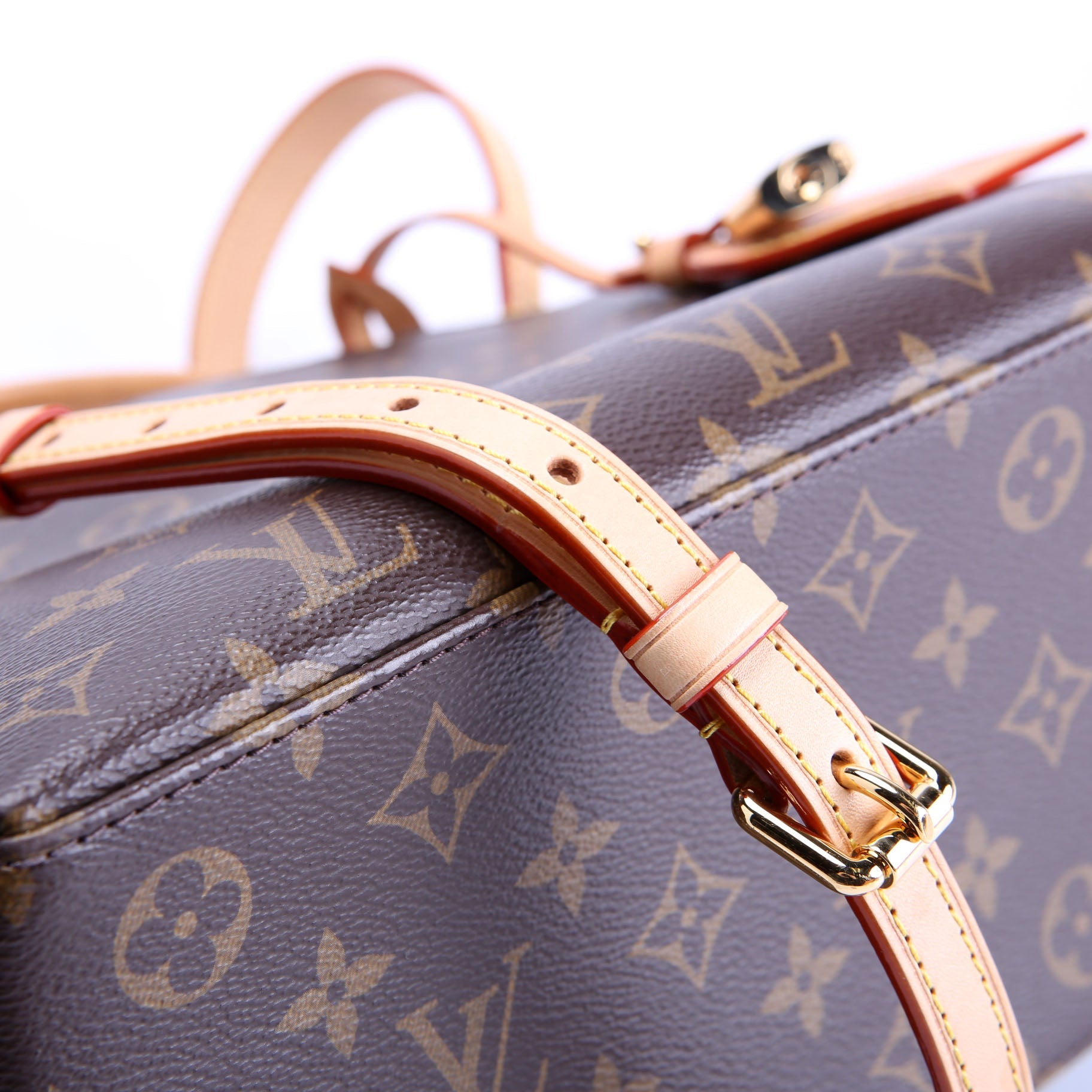 Petit Palais Monogram Brown/Berry