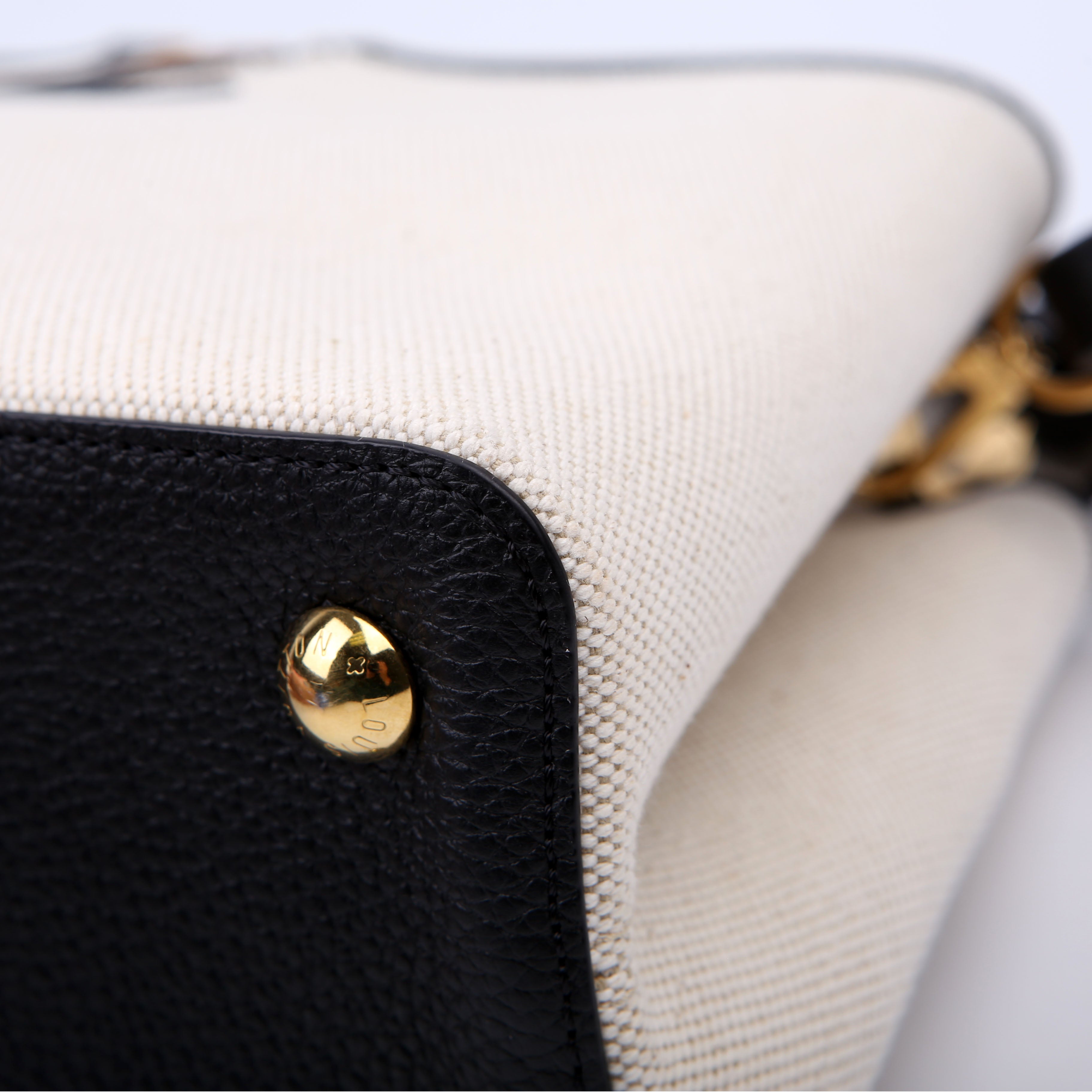 Capucines MM Taurillon/Canvas