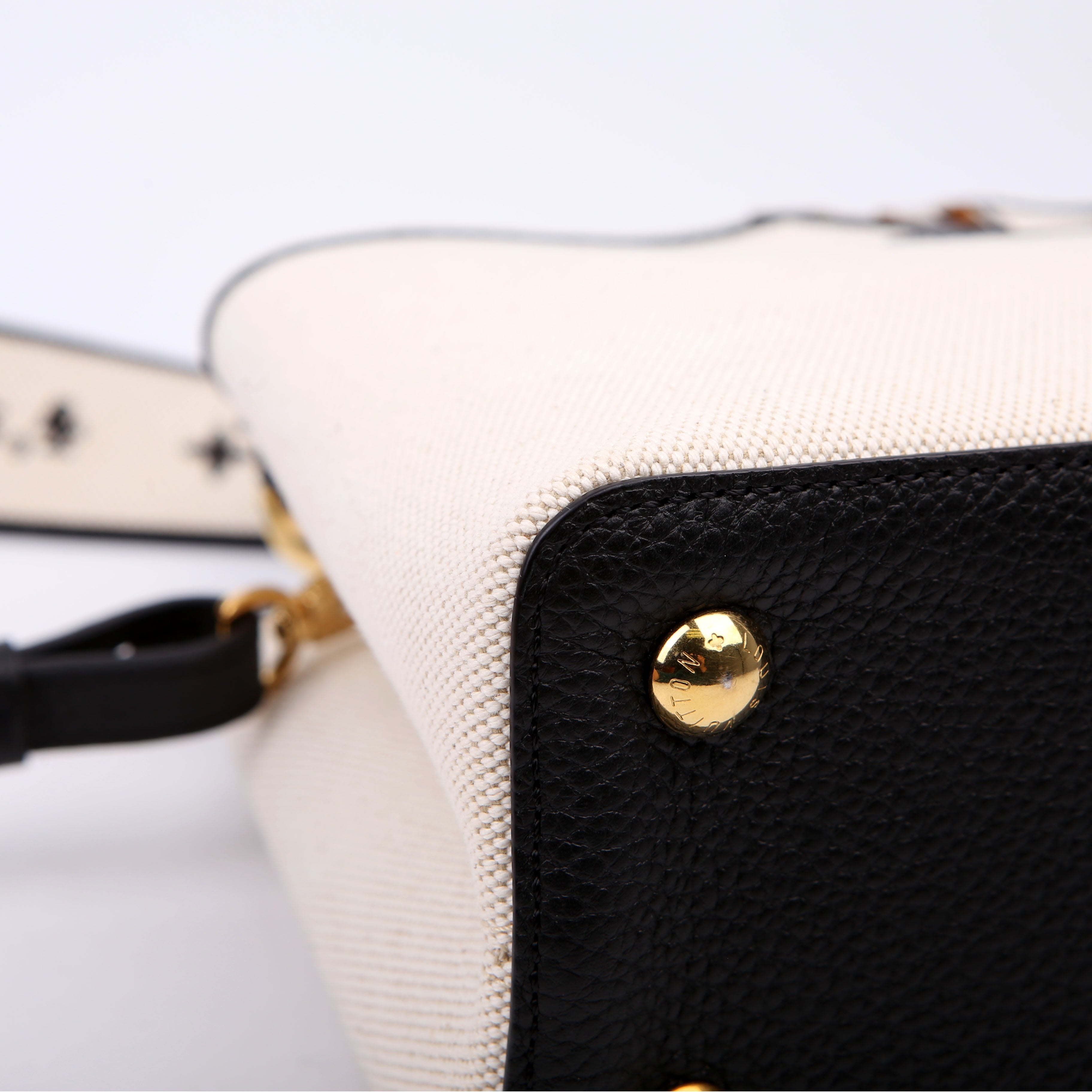 Capucines MM Taurillon/Canvas