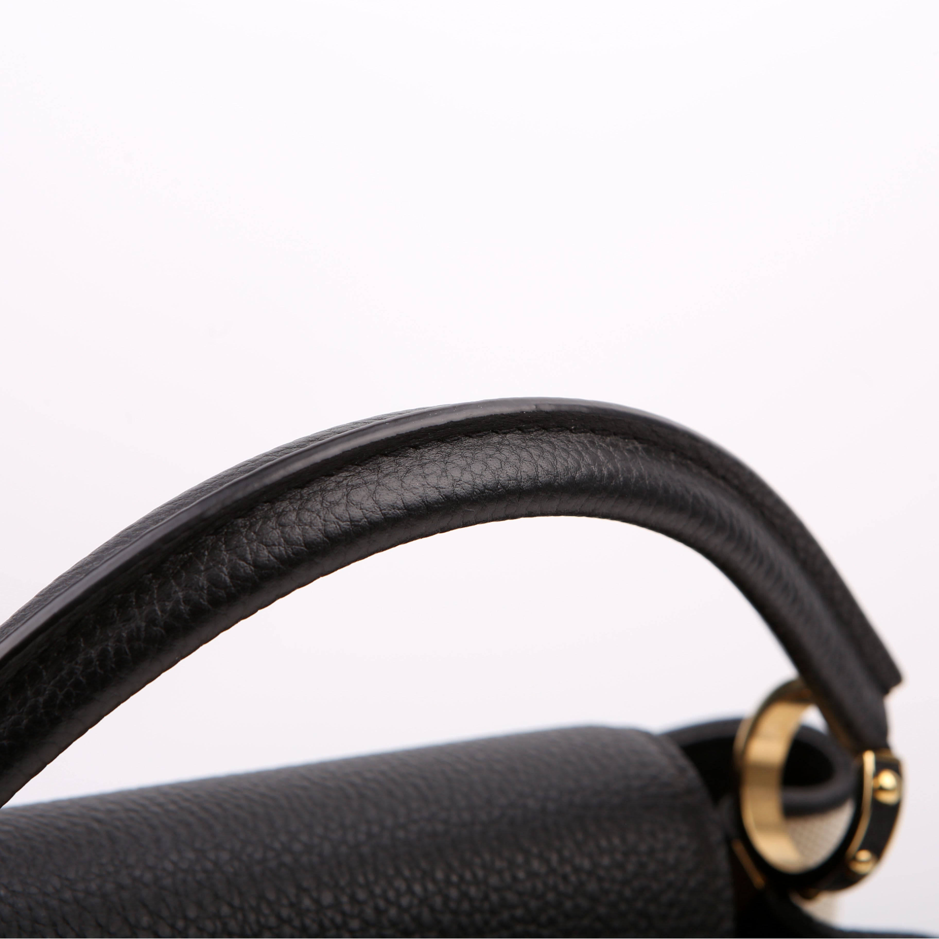 Capucines MM Taurillon/Canvas