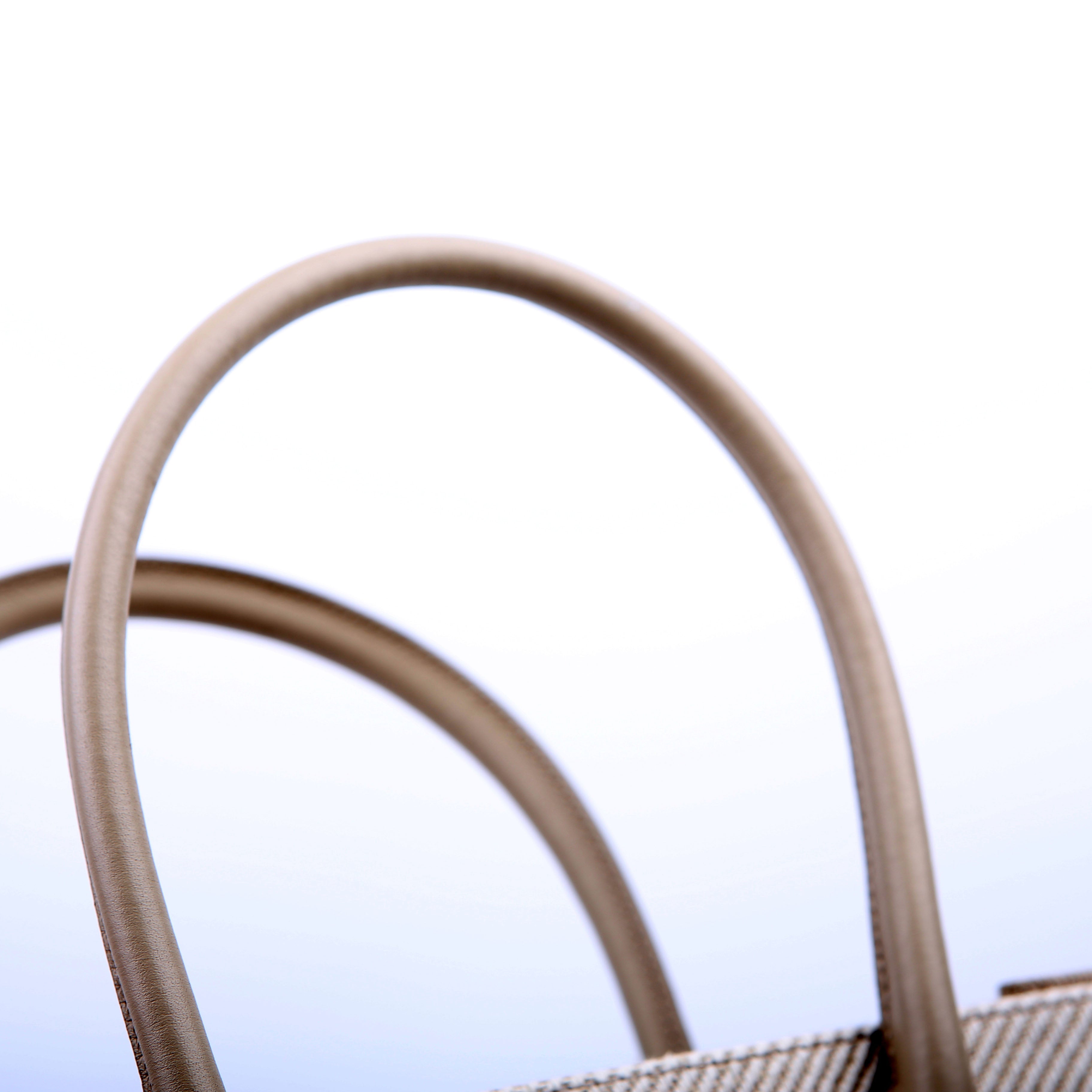 Rive Gauche Tote Bag Small Beige