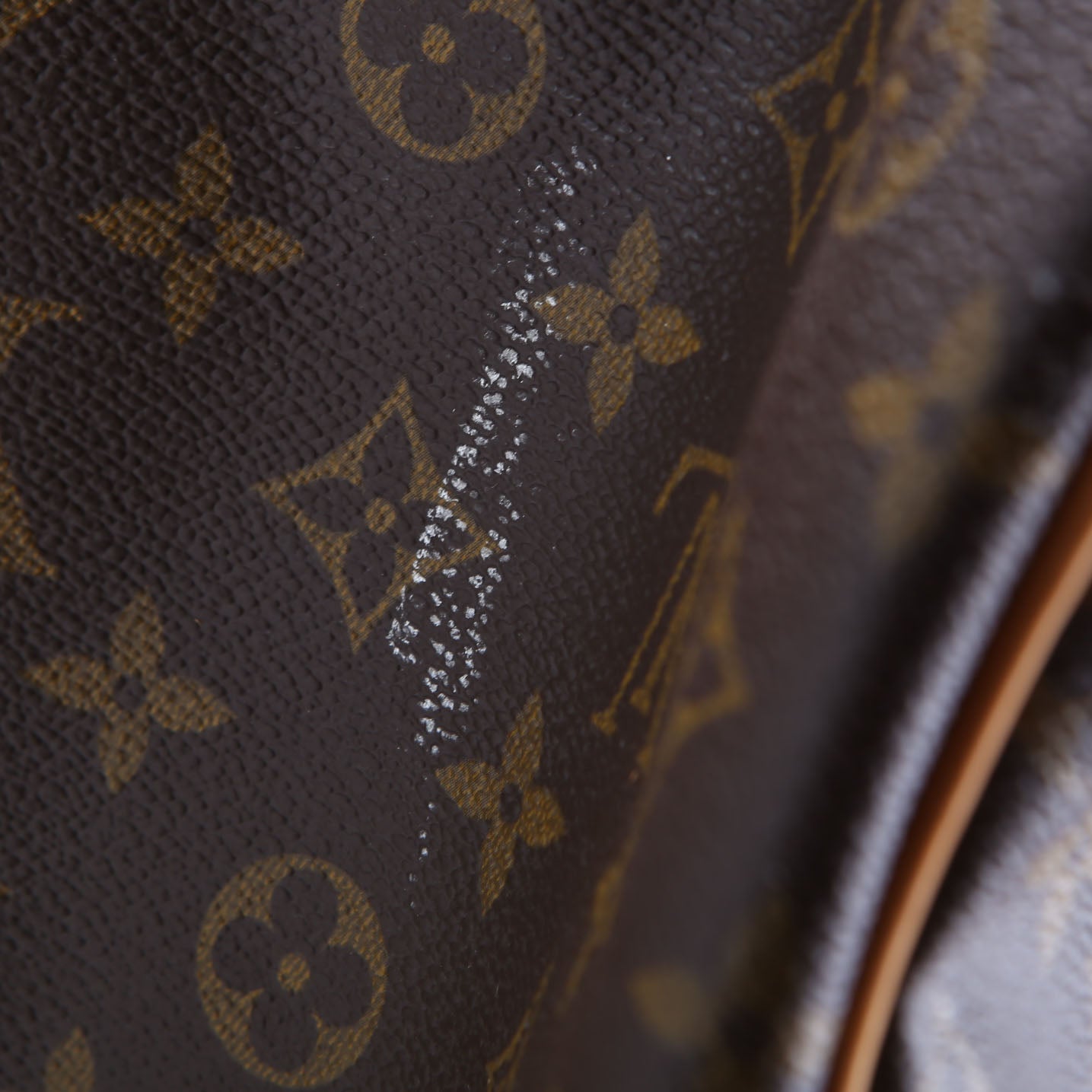 Sirius Suitcase 70 Monogram