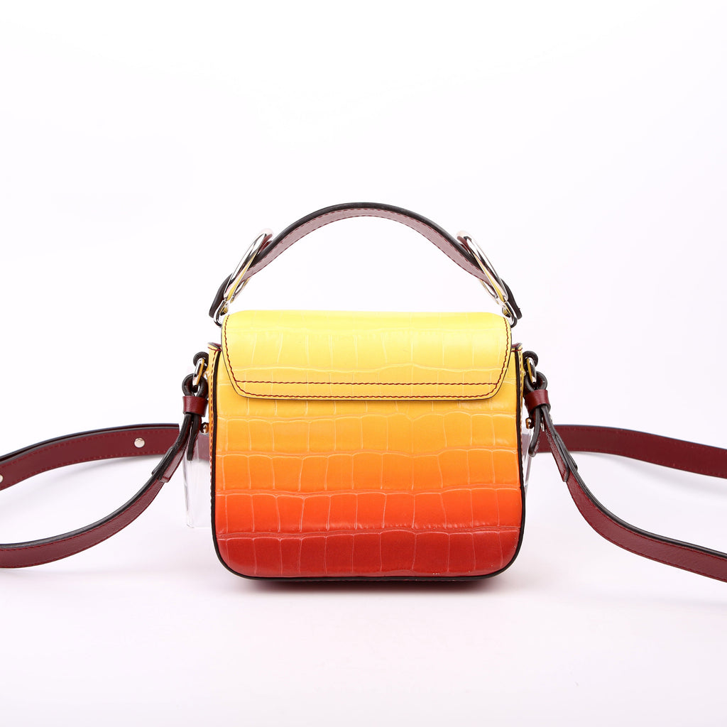 Mini C Crossbody Ombre