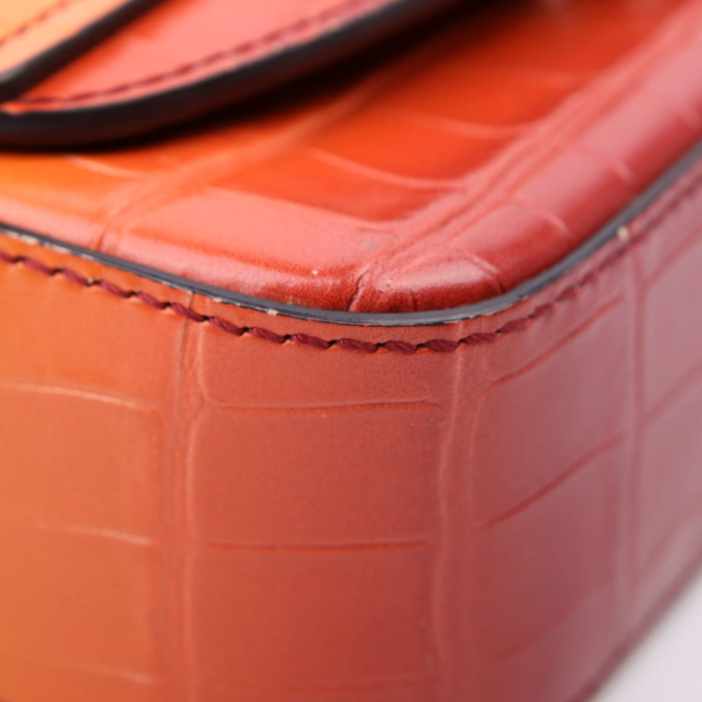 Mini C Crossbody Ombre