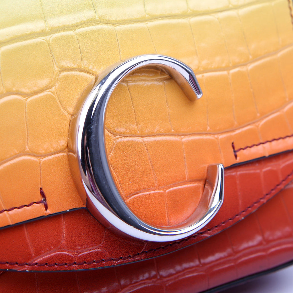 Mini C Crossbody Ombre