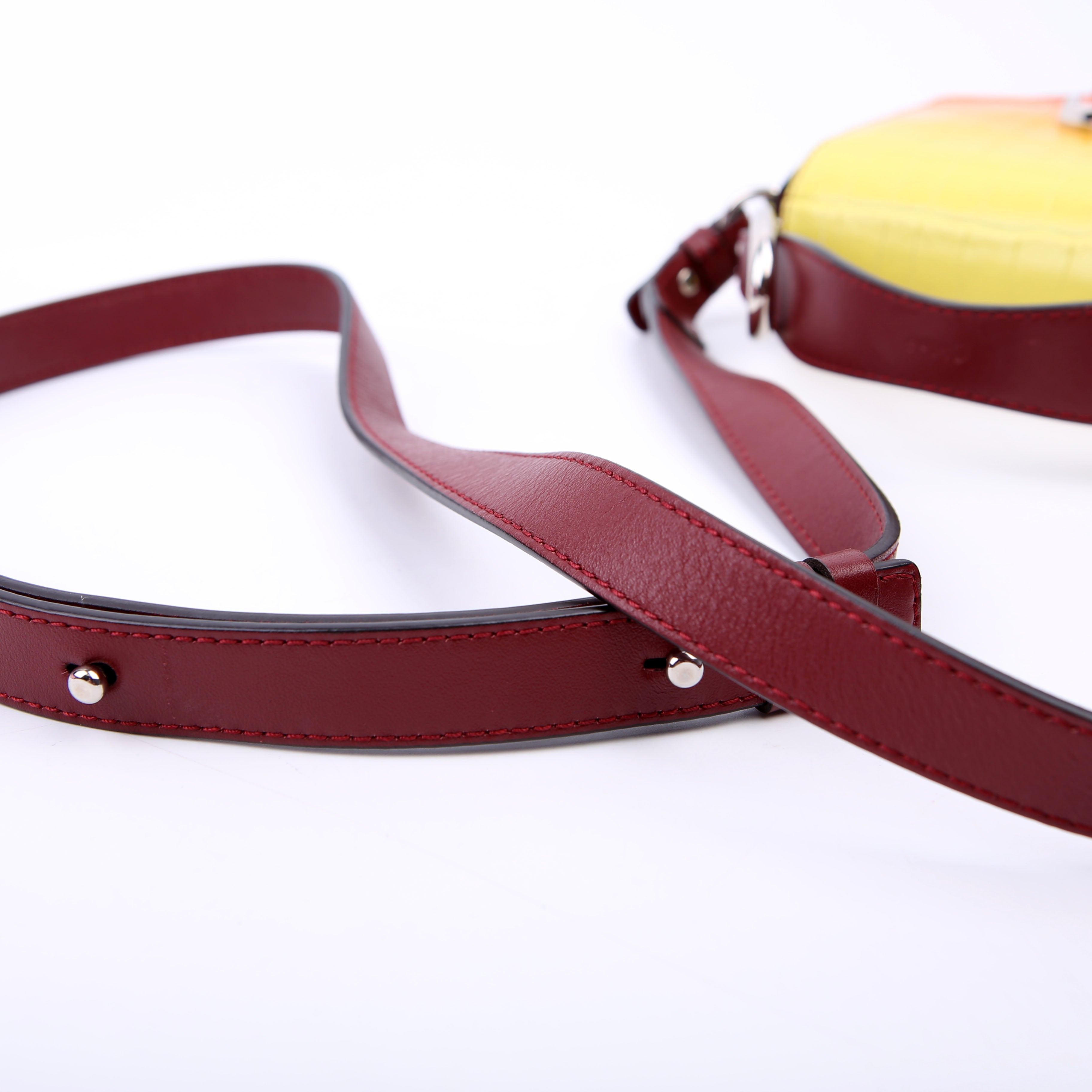 Mini C Crossbody Ombre