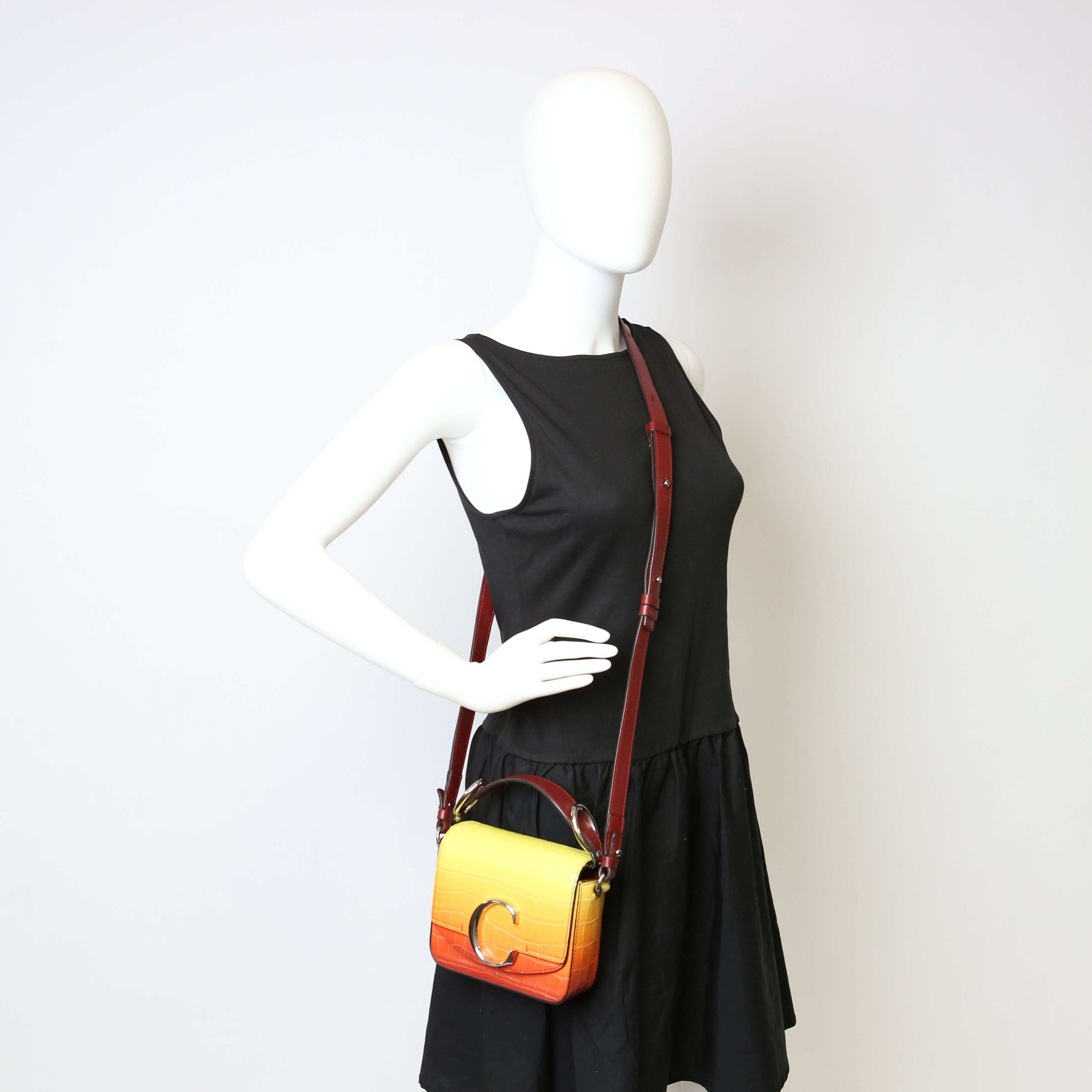 Mini C Crossbody Ombre