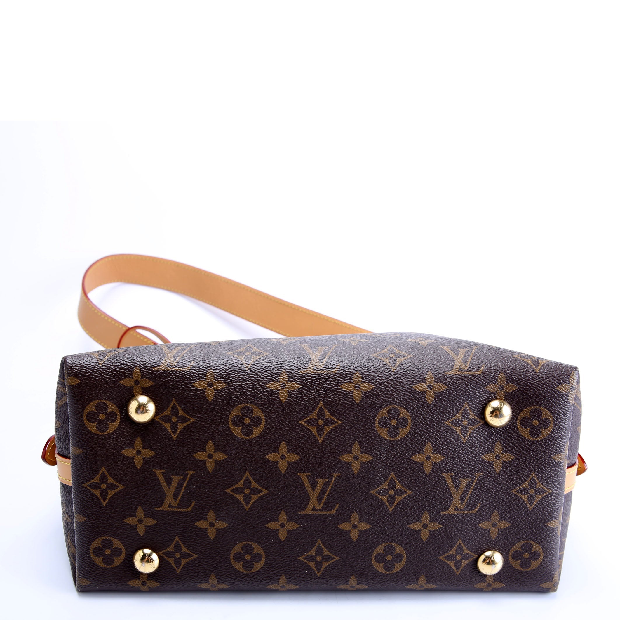 Carryall PM Monogram