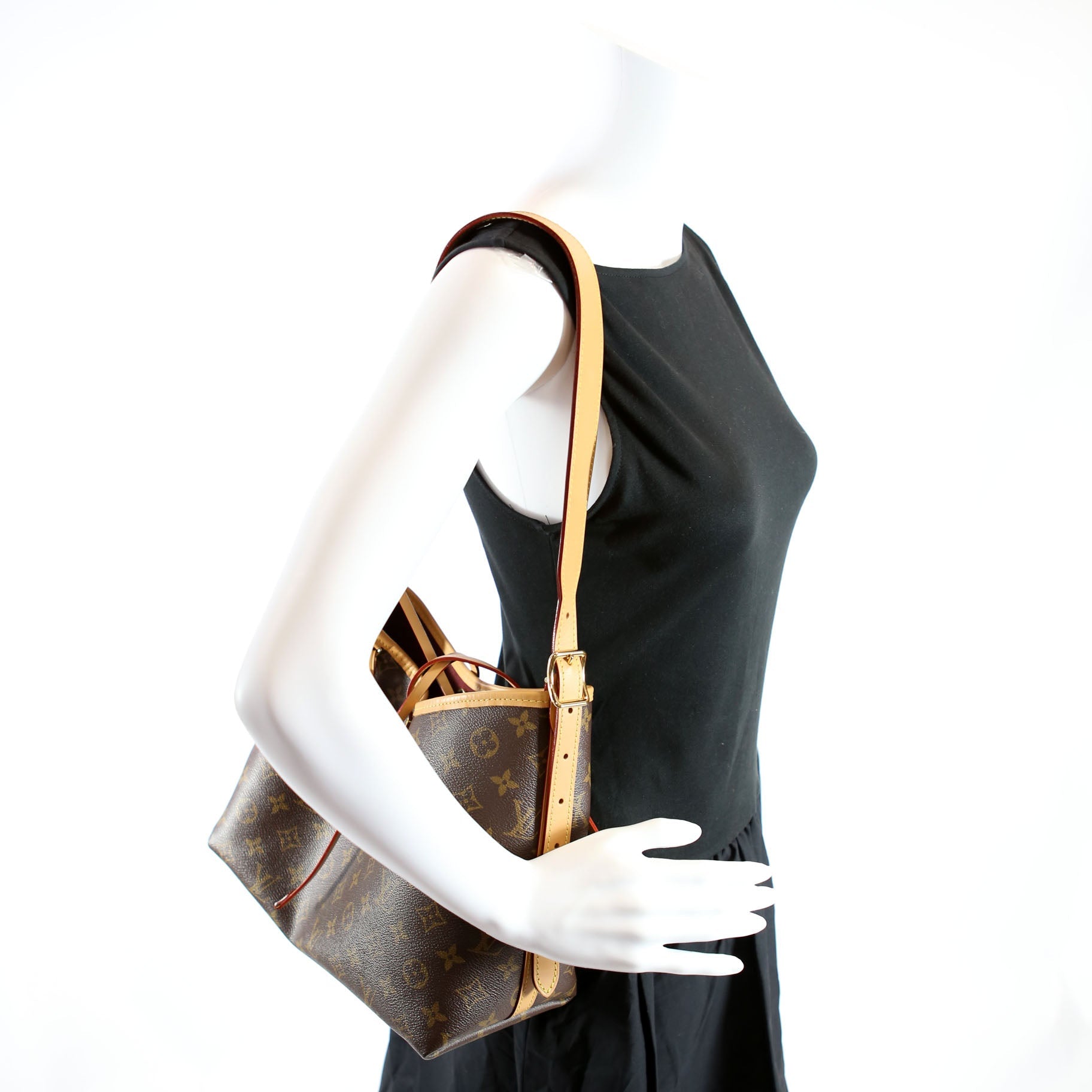 Carryall PM Monogram