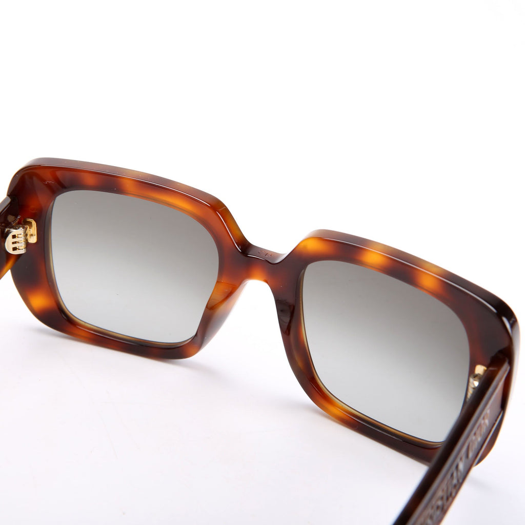 S3U Wildior 55MM Sunglasses Brown