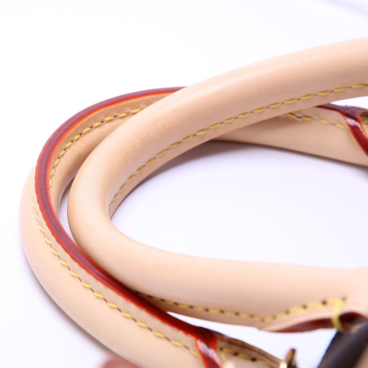 Speedy 25 Bandouliere Monogram