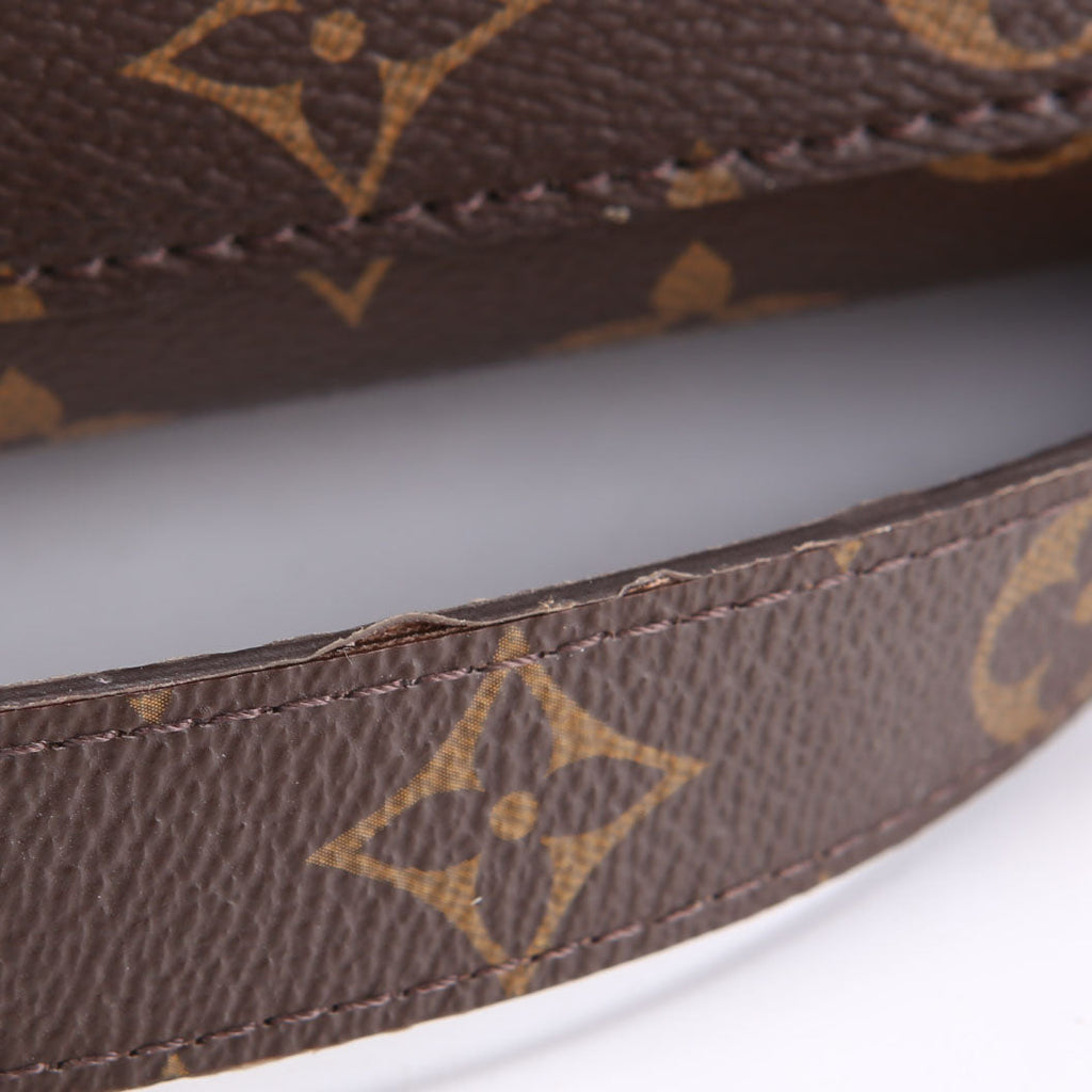 Montaigne MM Monogram Brown/Berry