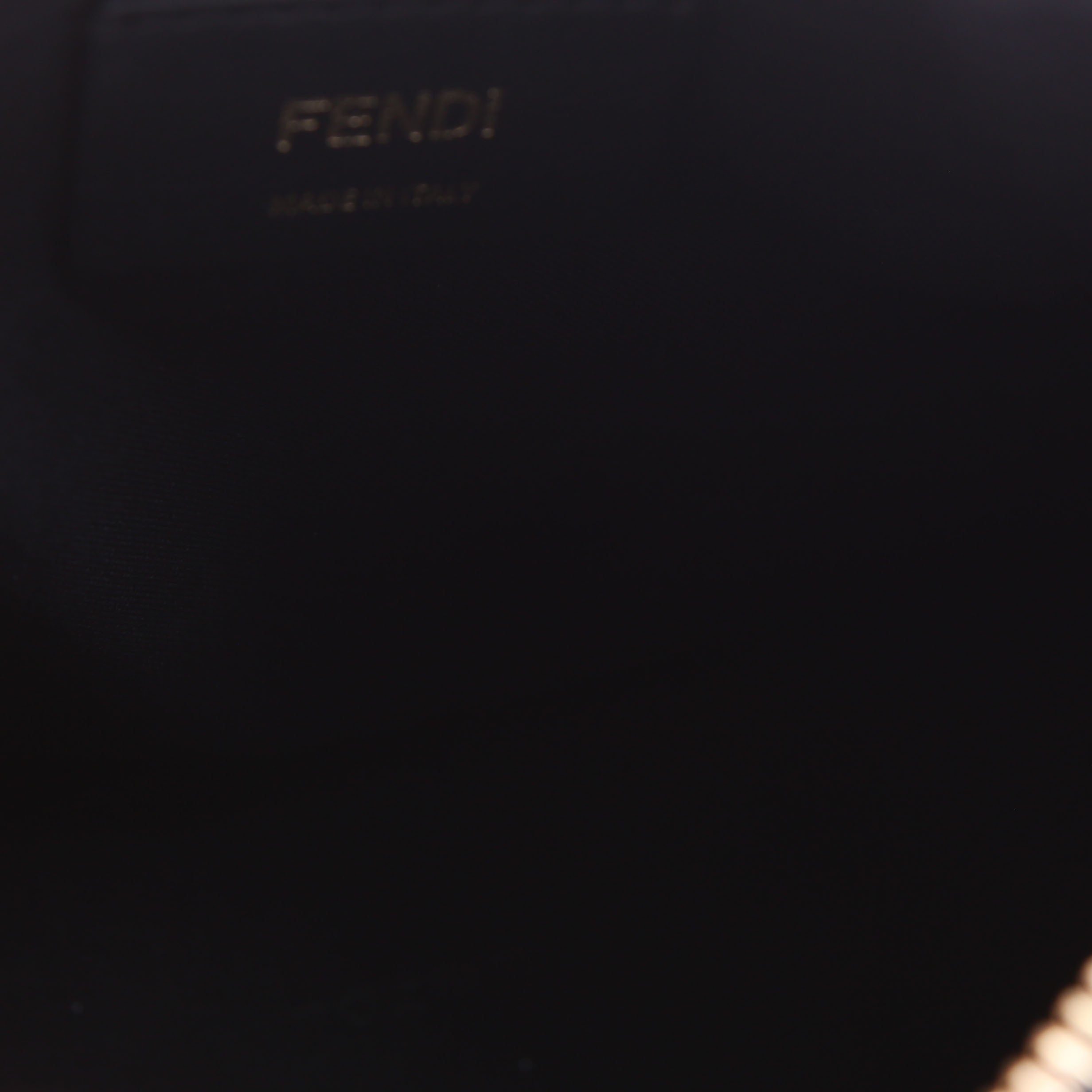Fendi 8BS081 Fendigraphy Mini Black