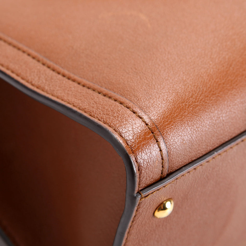 660195 Diana Small Leather Tote