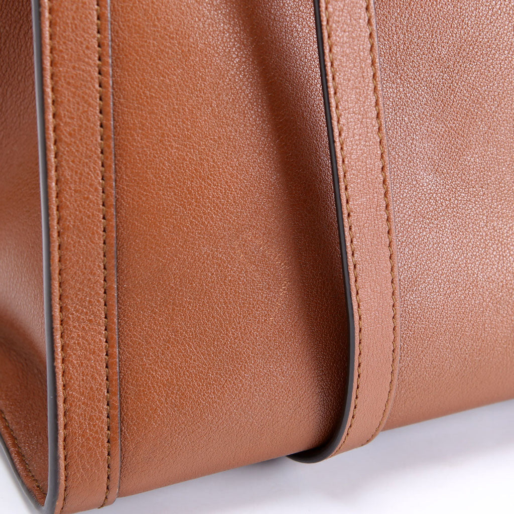 660195 Diana Small Leather Tote
