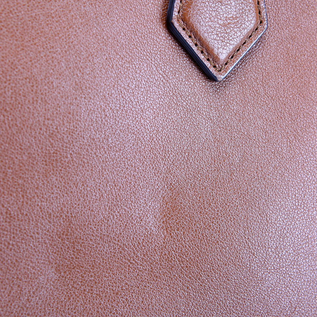 660195 Diana Small Leather Tote
