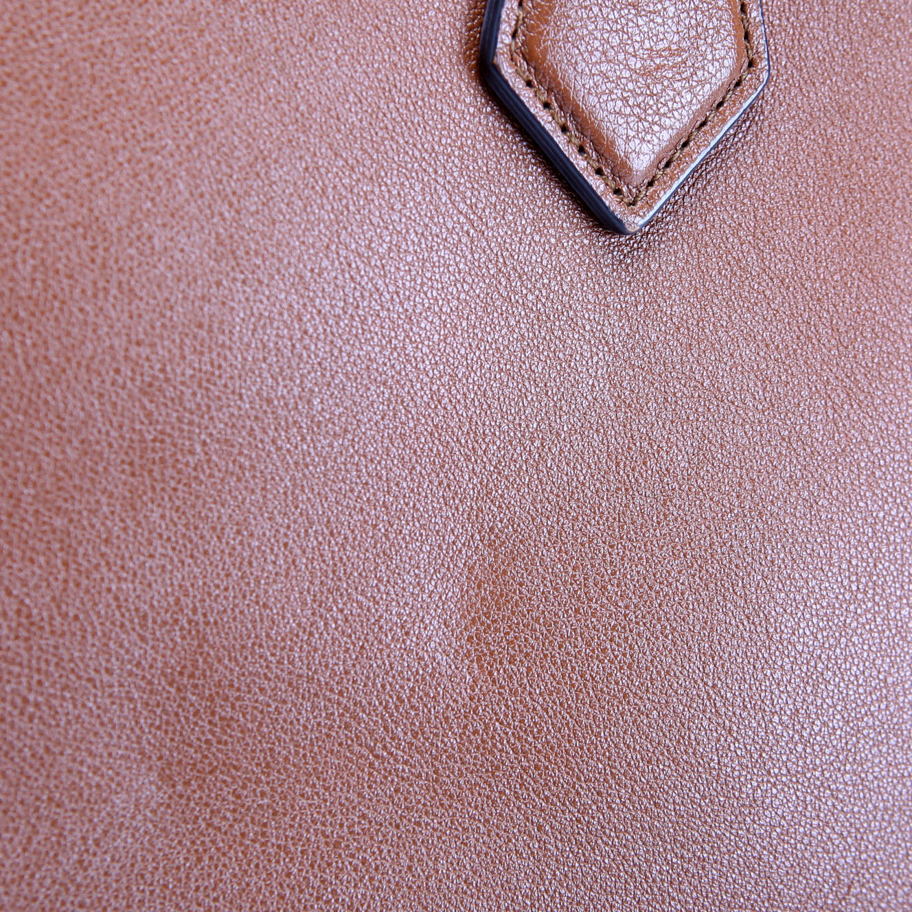 660195 Diana Small Leather Tote