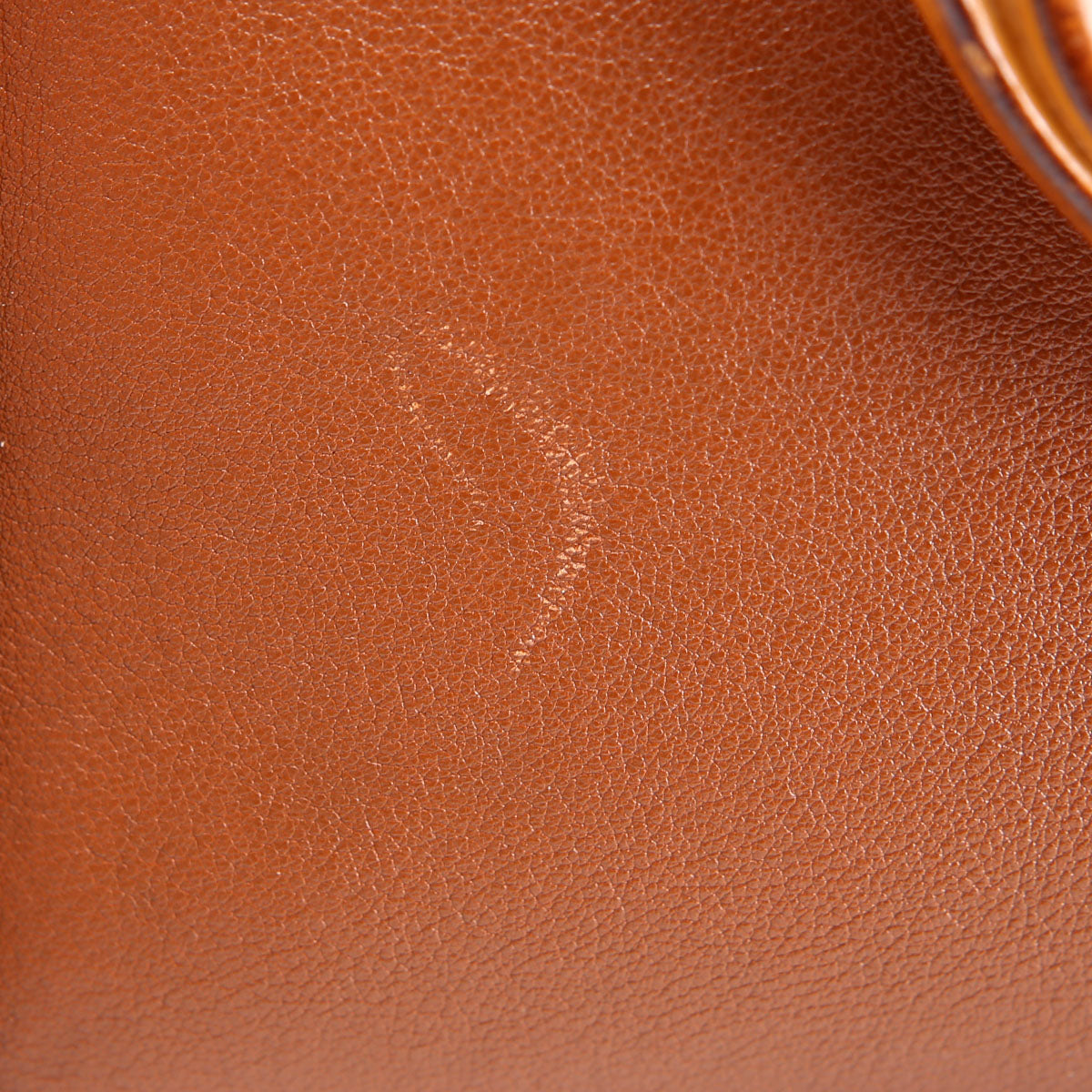 660195 Diana Small Leather Tote
